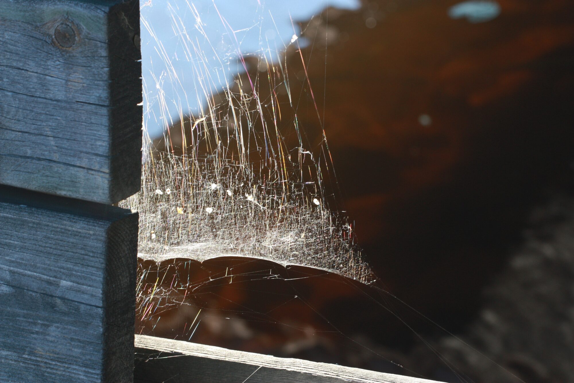 Valokuvaaja: Jaana Saarelainen