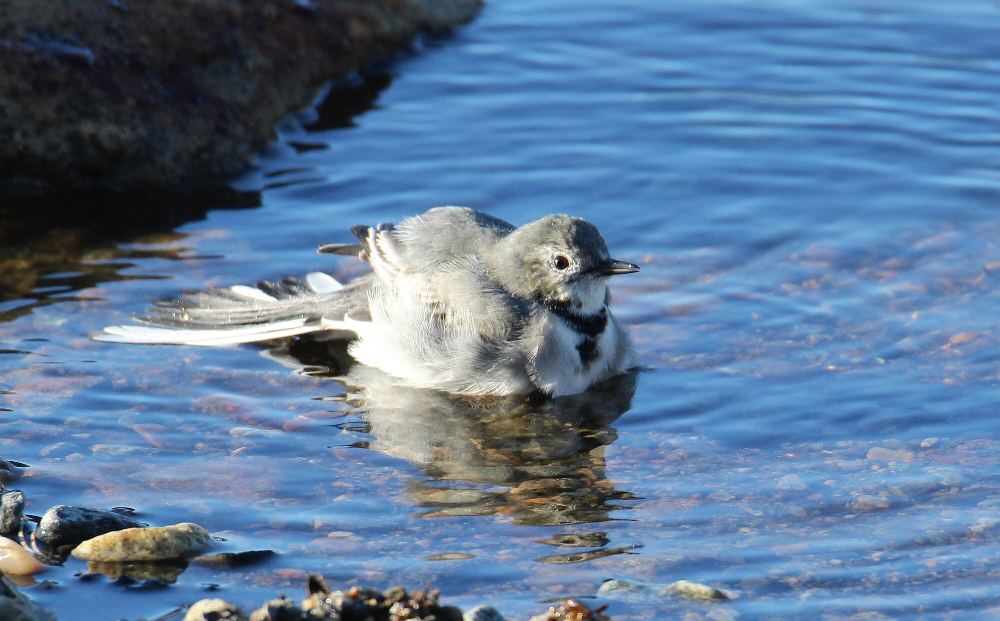 Valokuvaaja: Jaana Saarelainen