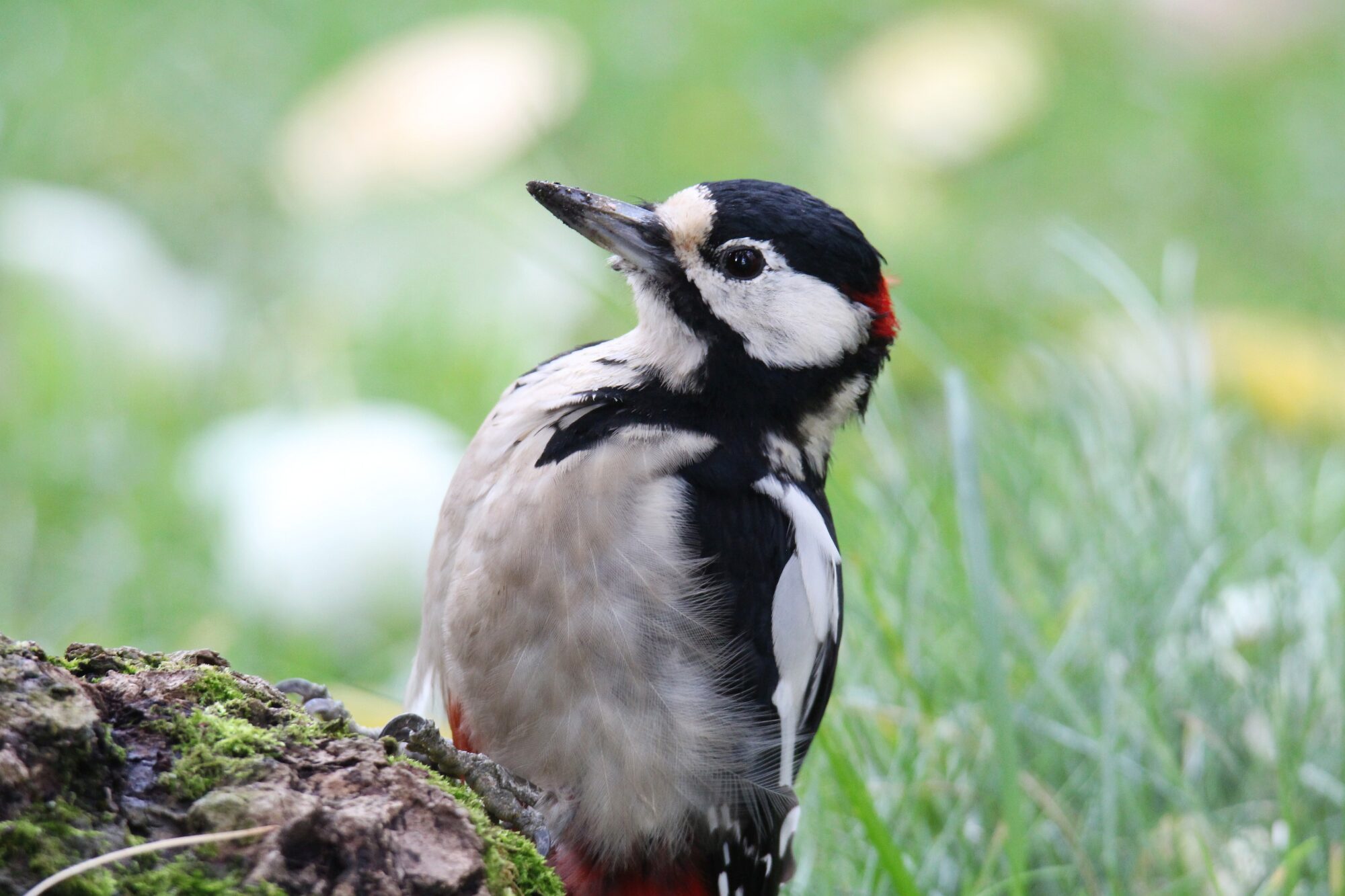 Valokuvaaja: Jaana Saarelainen
