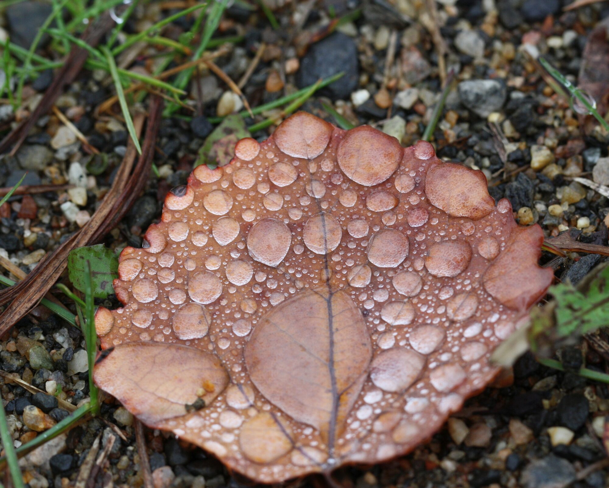 Valokuvaaja: Jaana Saarelainen