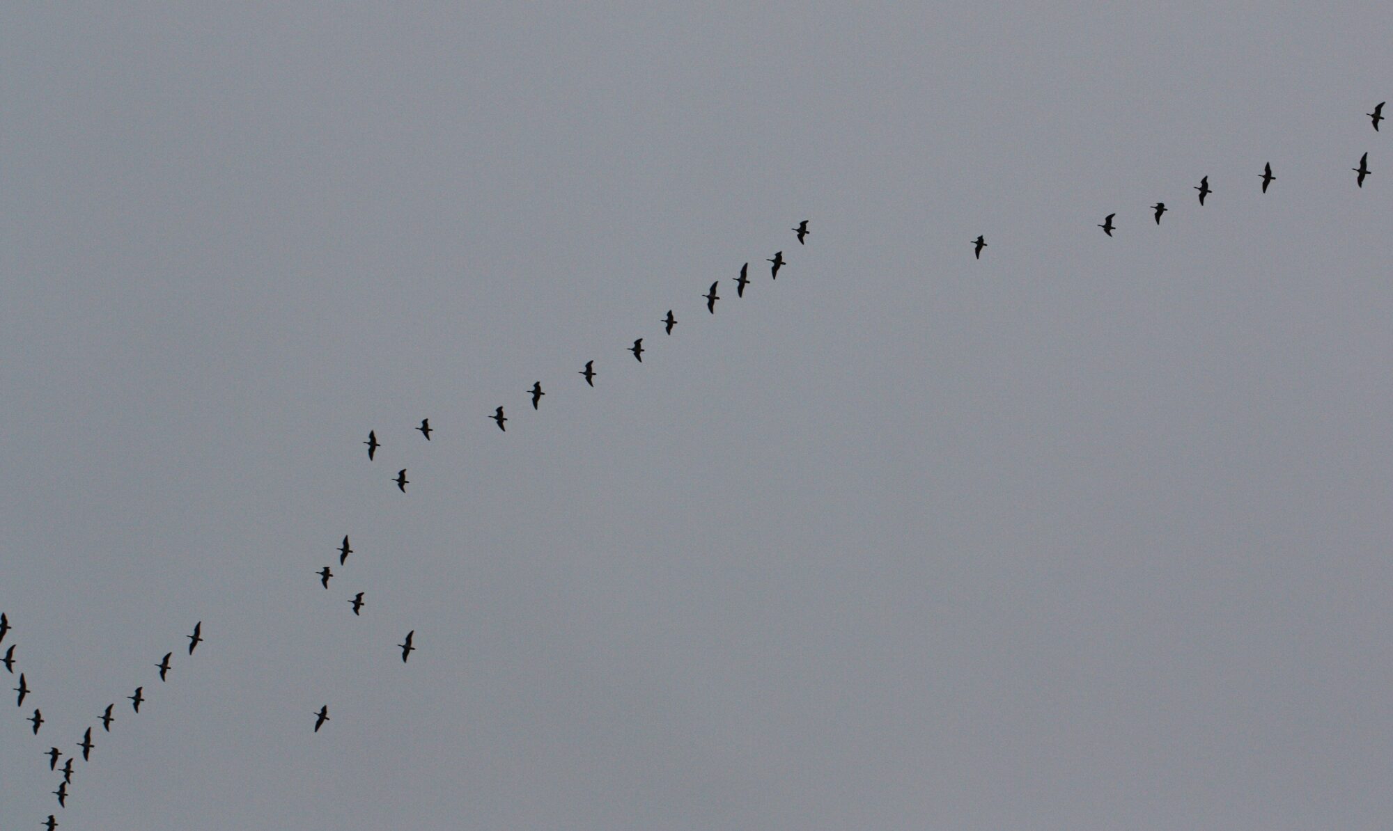 Valokuvaaja: Jaana Saarelainen
