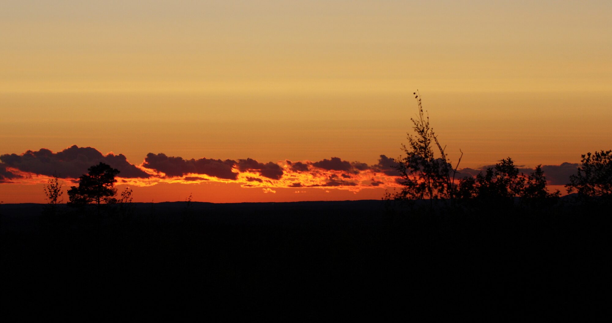 Valokuvaaja: Jaana Saarelainen