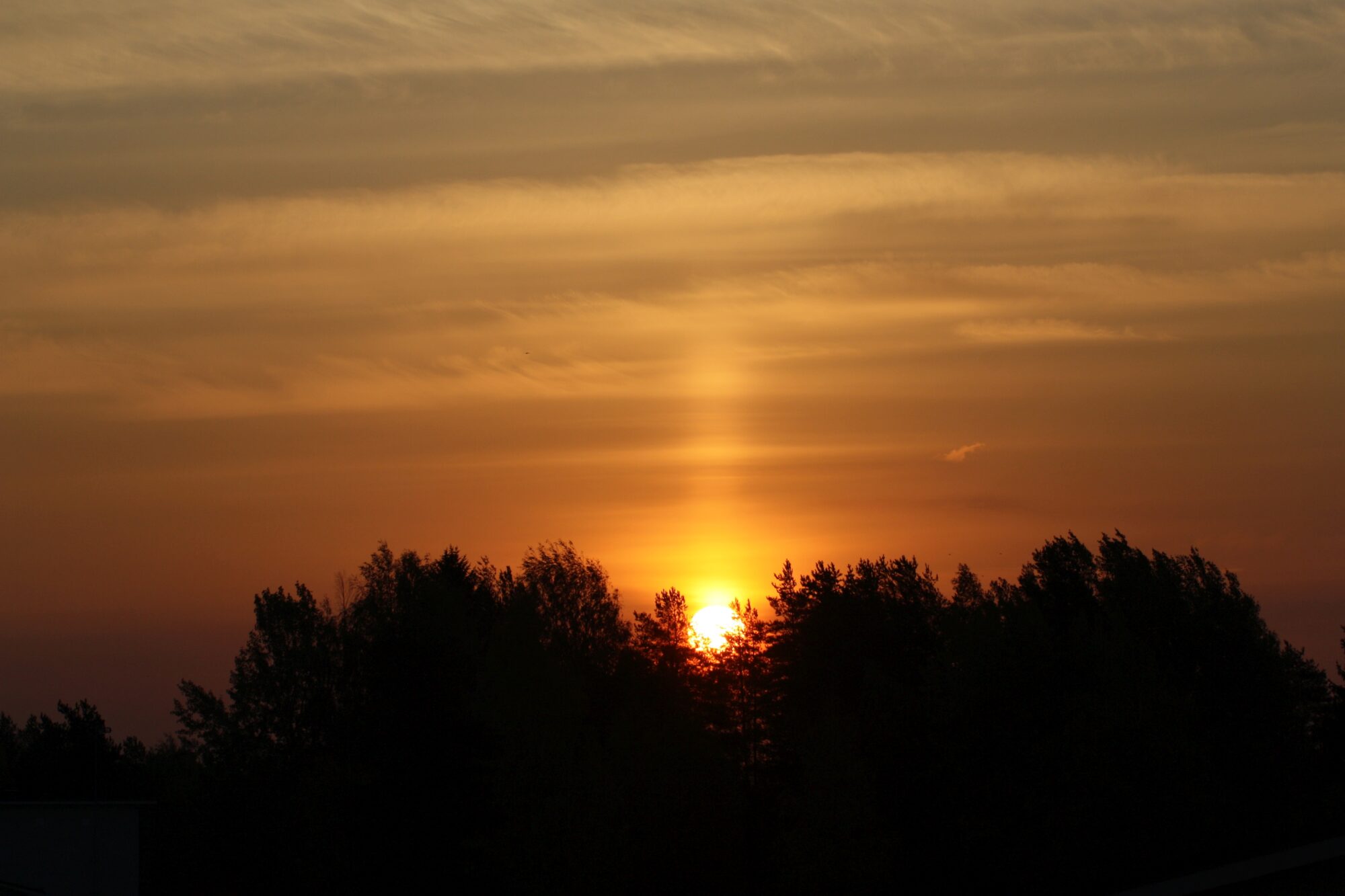 Valokuvaaja: Jaana Saarelainen