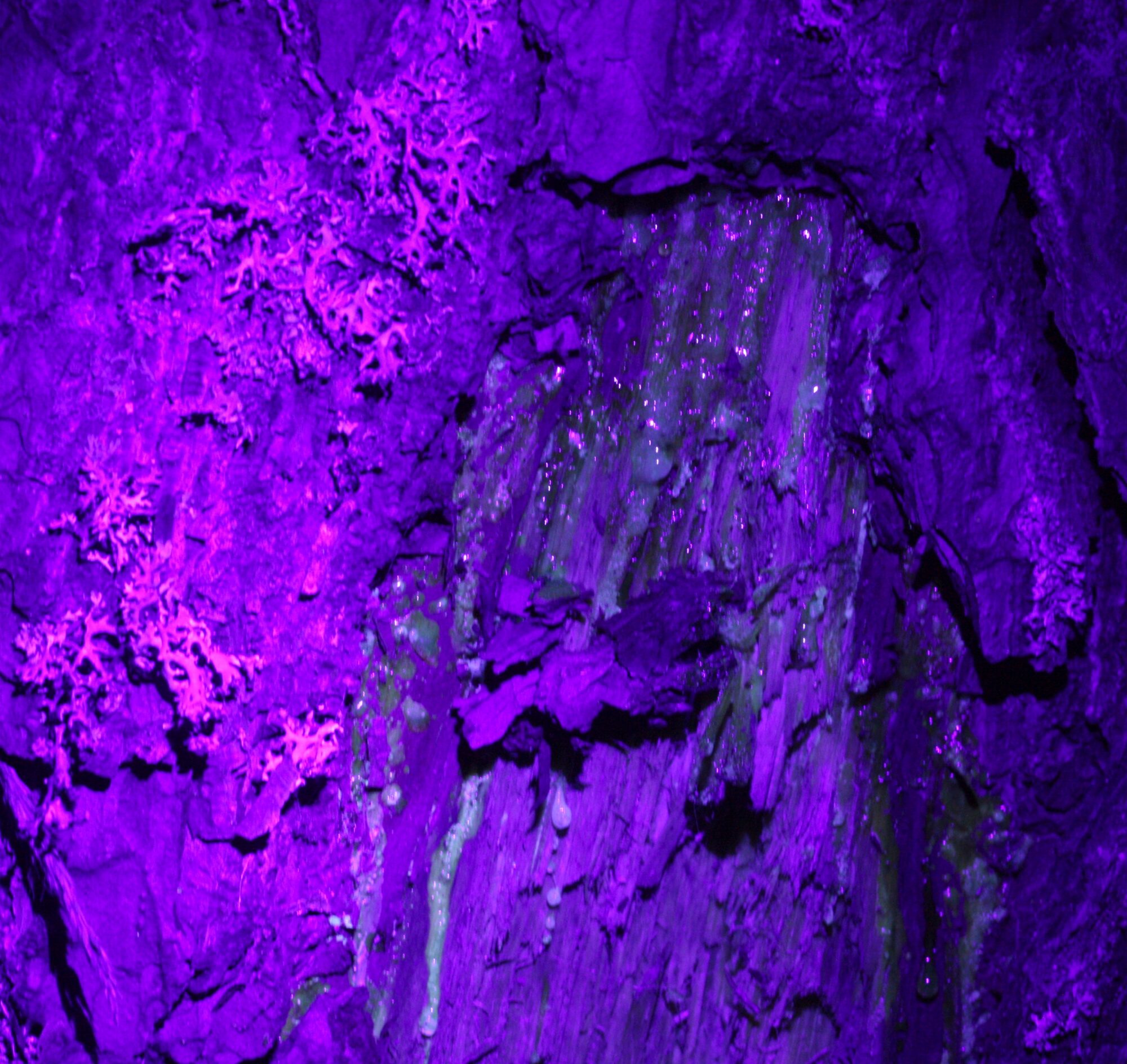 Valokuvaaja: Jaana Saarelainen