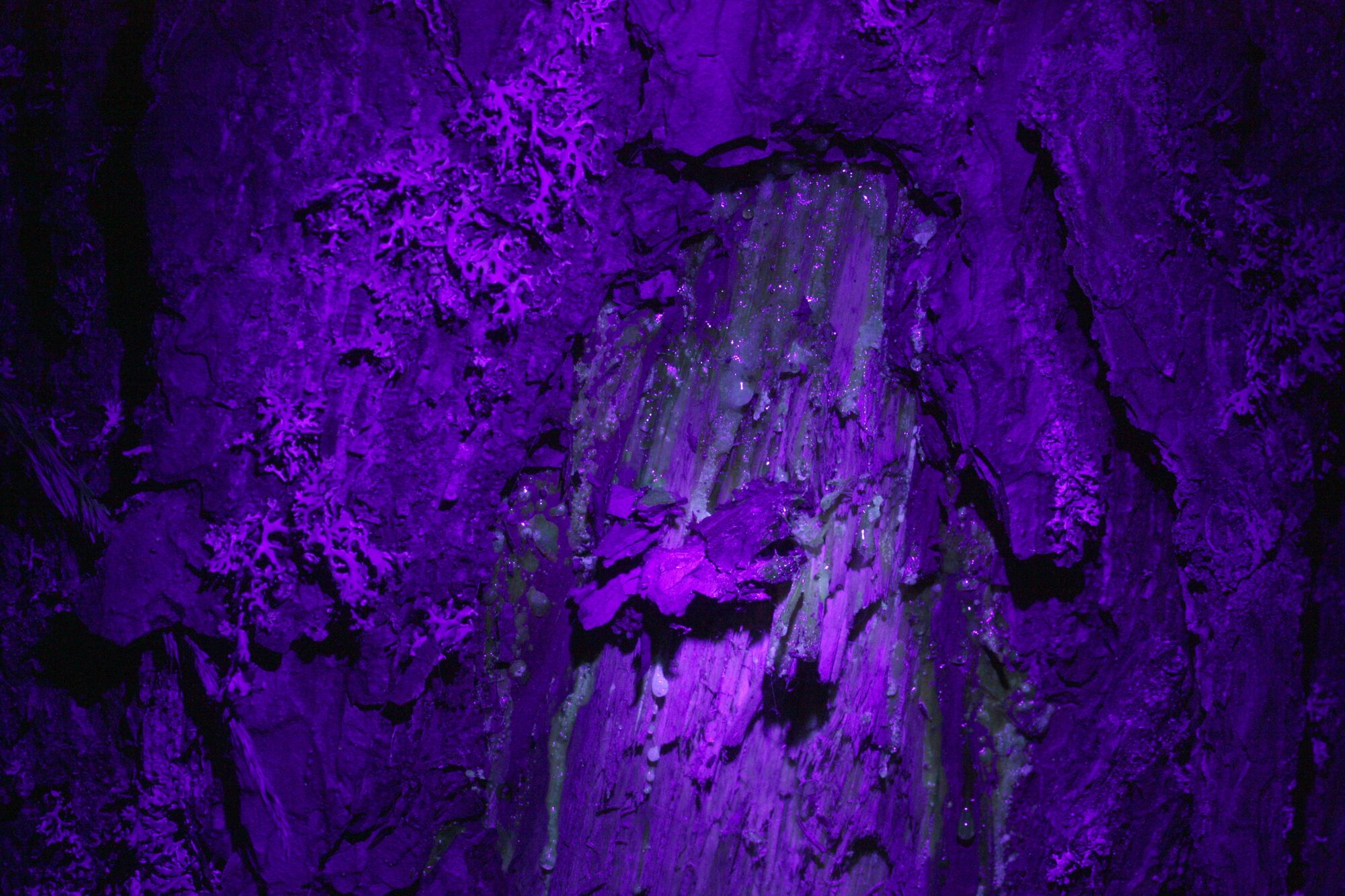 Valokuvaaja: Jaana Saarelainen