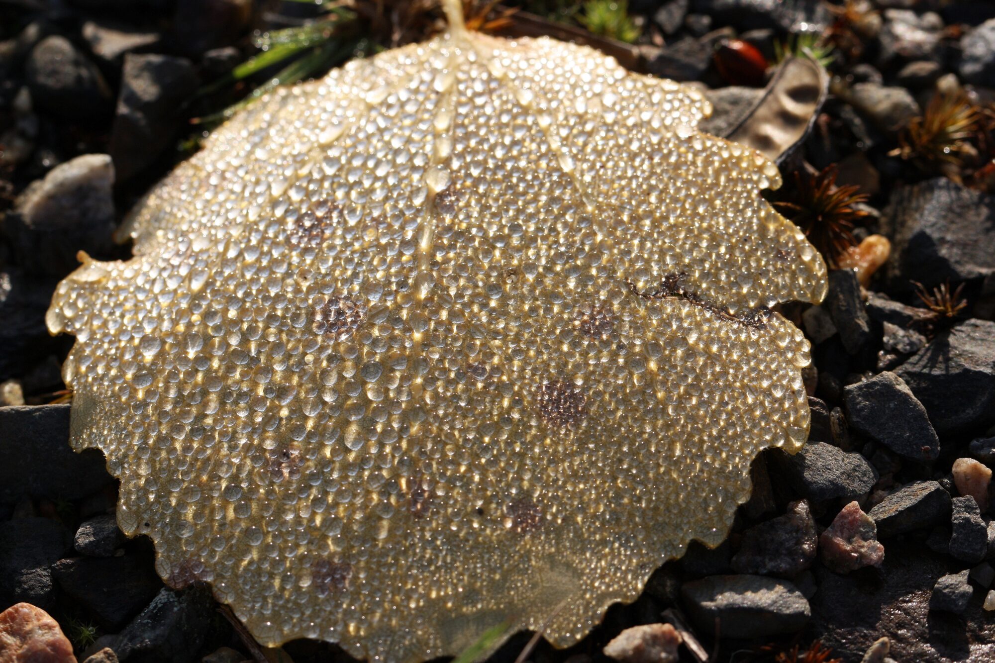 Valokuvaaja: Jaana Saarelainen Valokuvaaja: Jaana Saarelainen