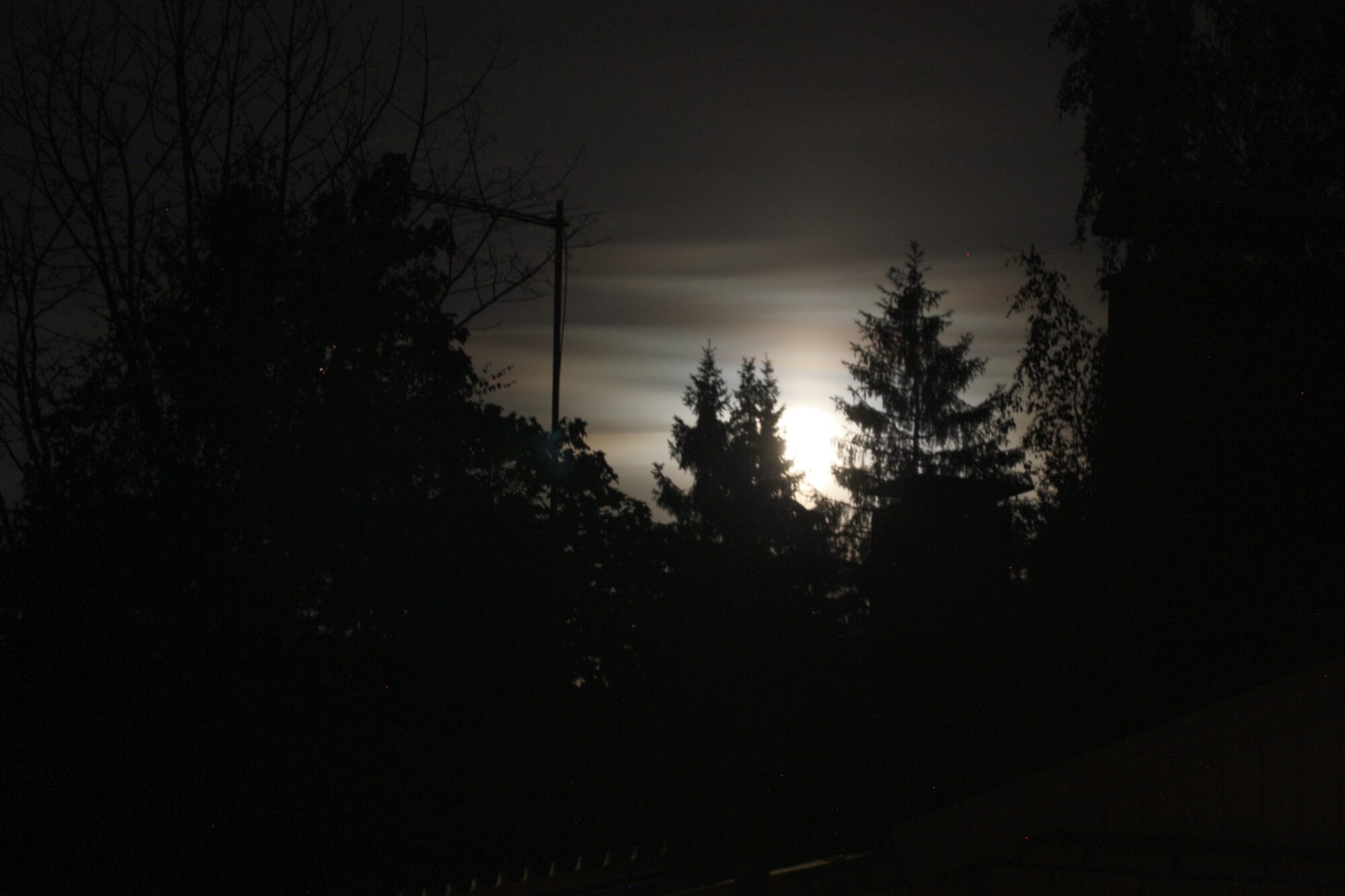 Valokuvaaja: Jaana Saarelainen