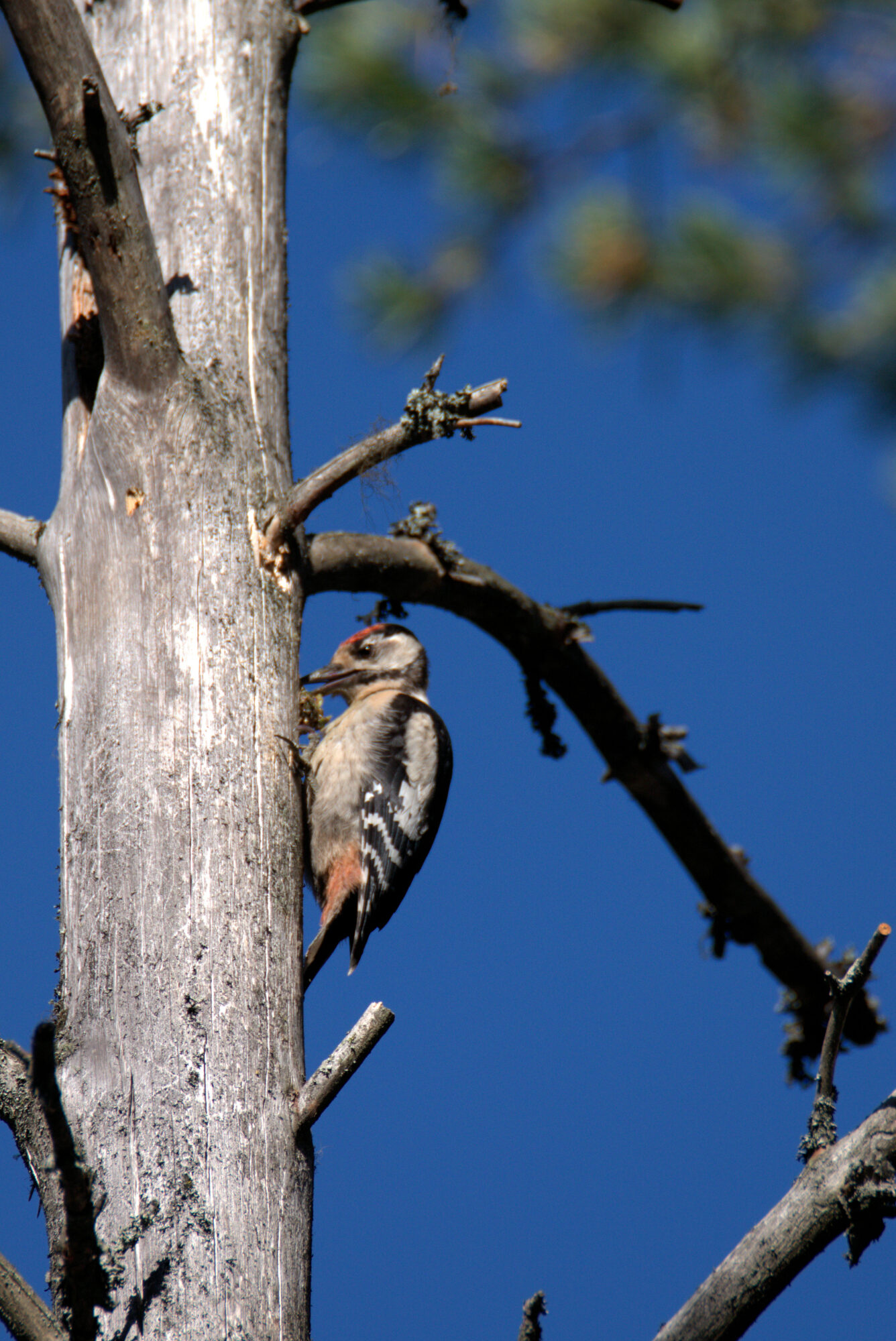 Valokuvaaja: Ahti Keränen