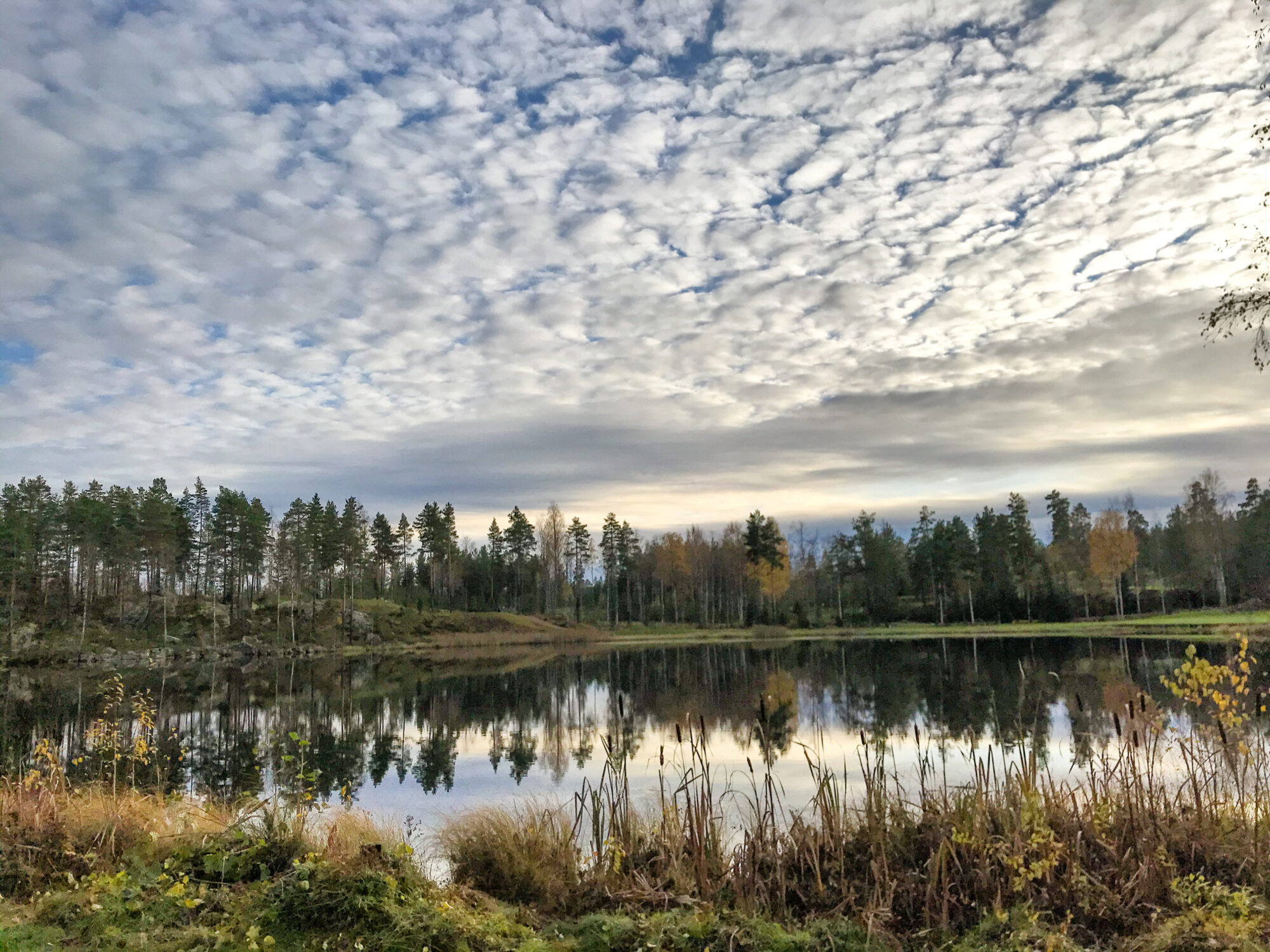 Valokuvaaja: Anne Patana