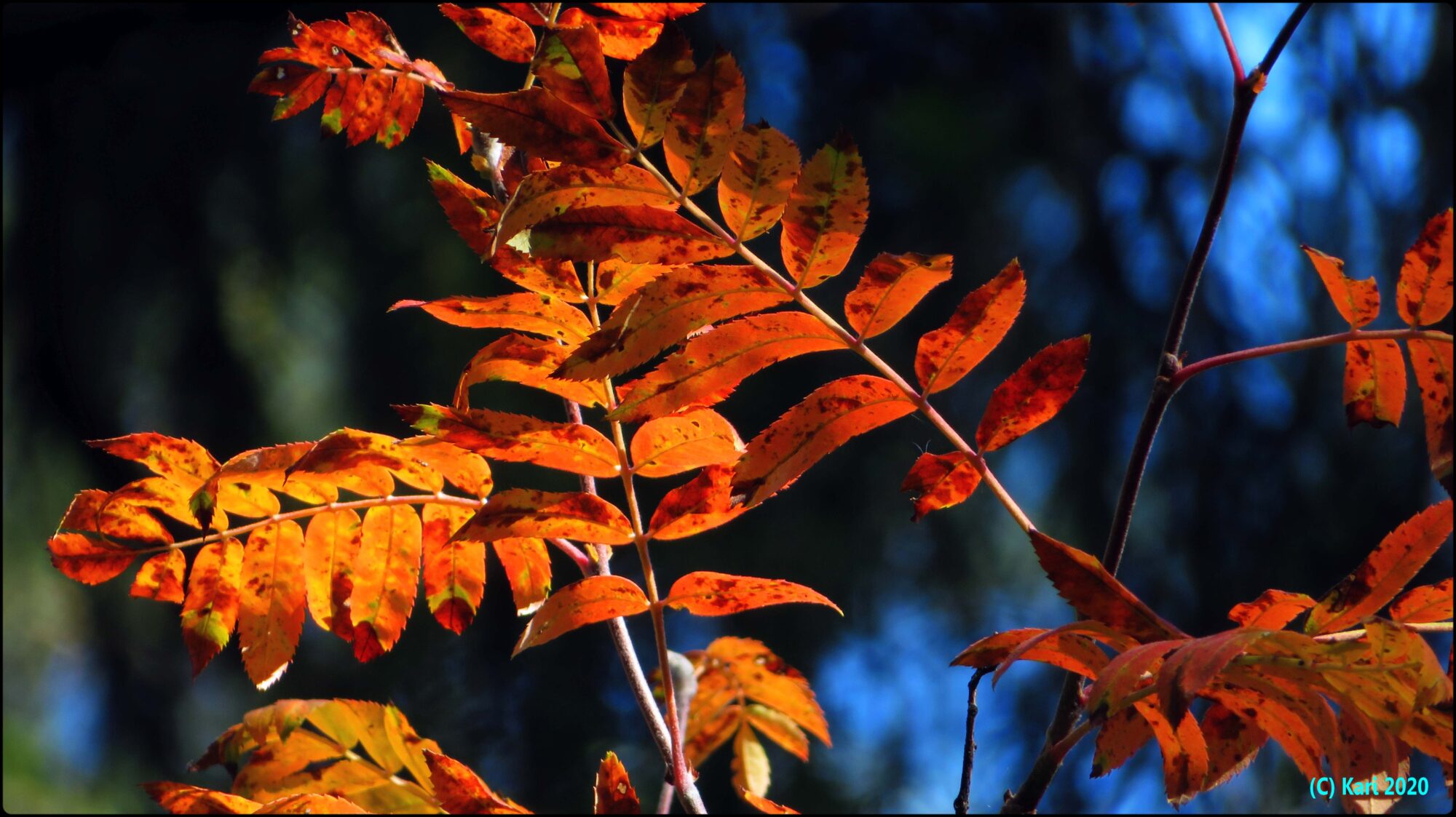 Valokuvaaja: Kari Saarinen Valokuvaaja: Kari Saarinen