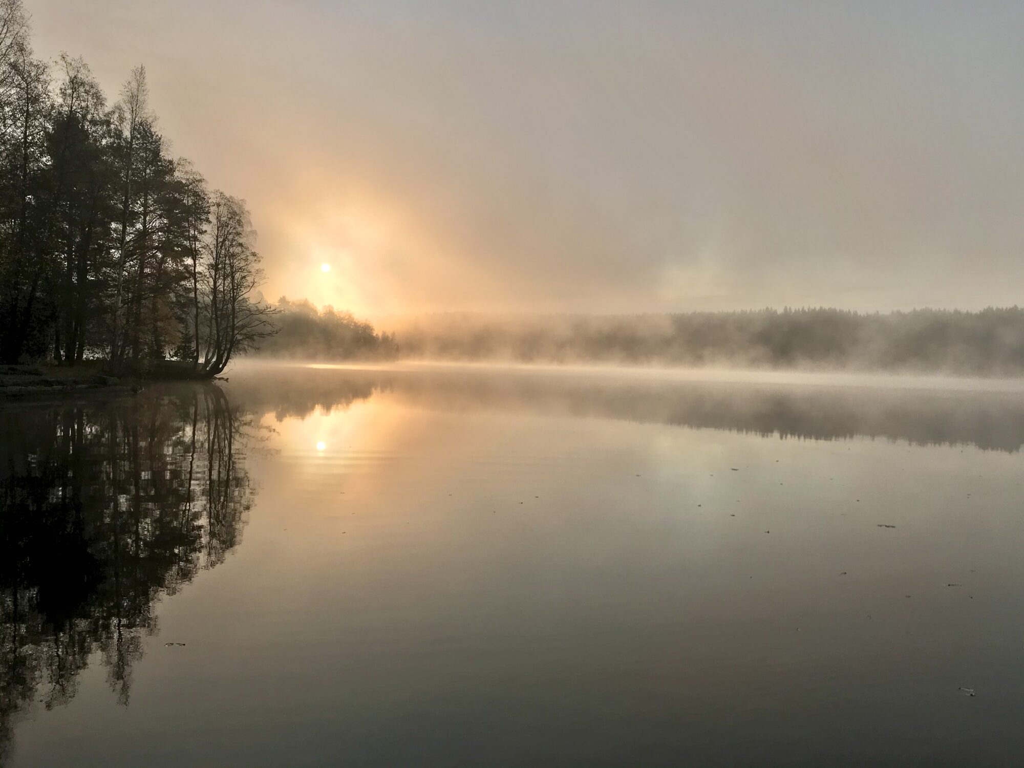 Valokuvaaja: Anne Patana Valokuvaaja: Anne Patana