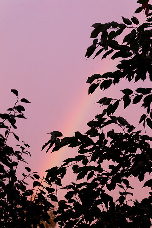 Valokuvaaja: Ida Leino Valokuvaaja: Ida Leino