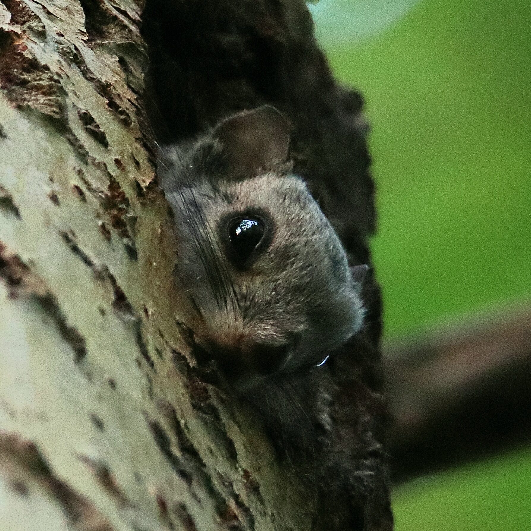 Valokuvaaja: Janne Salomeri