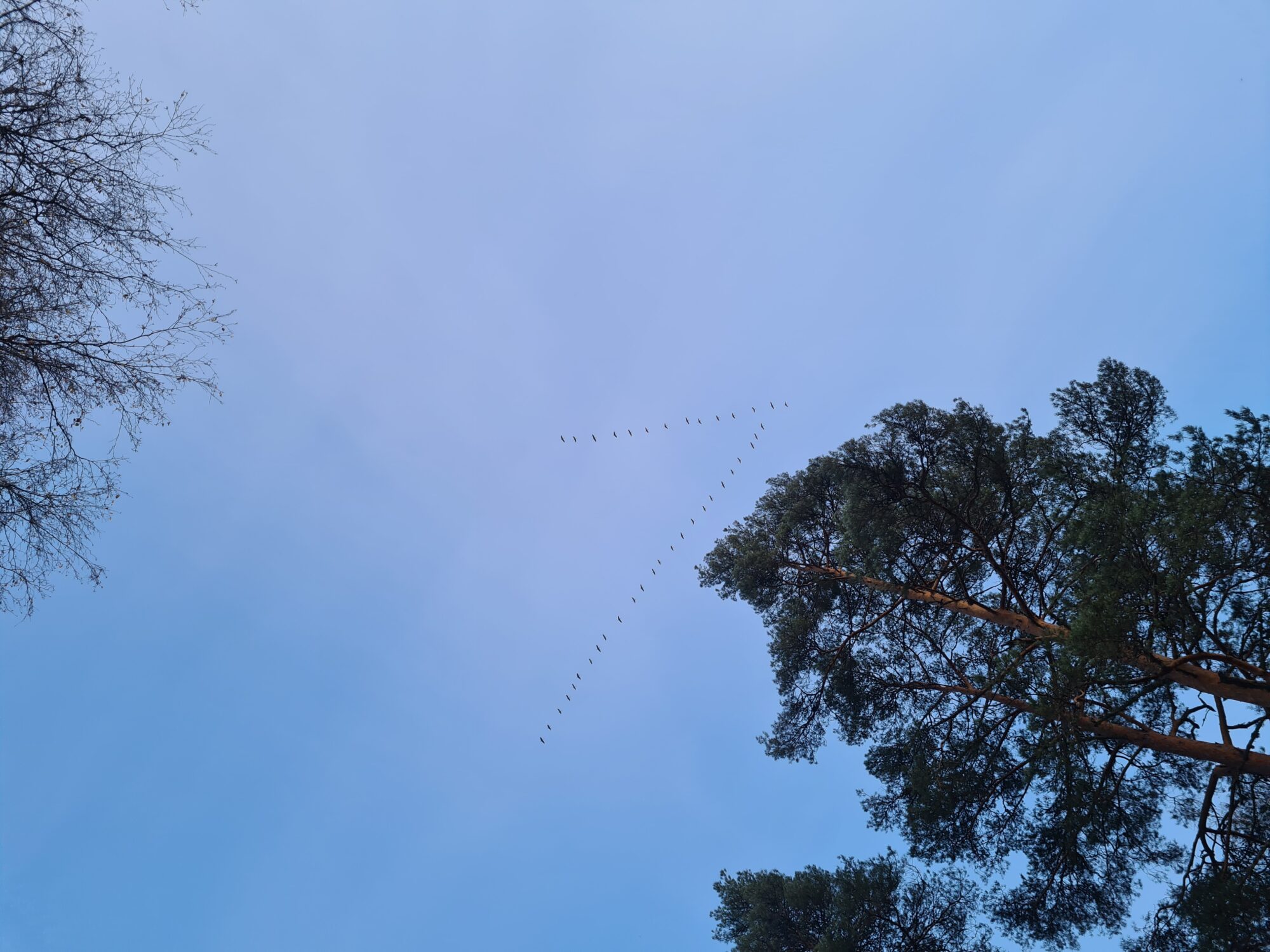 Valokuvaaja: Sami Petro