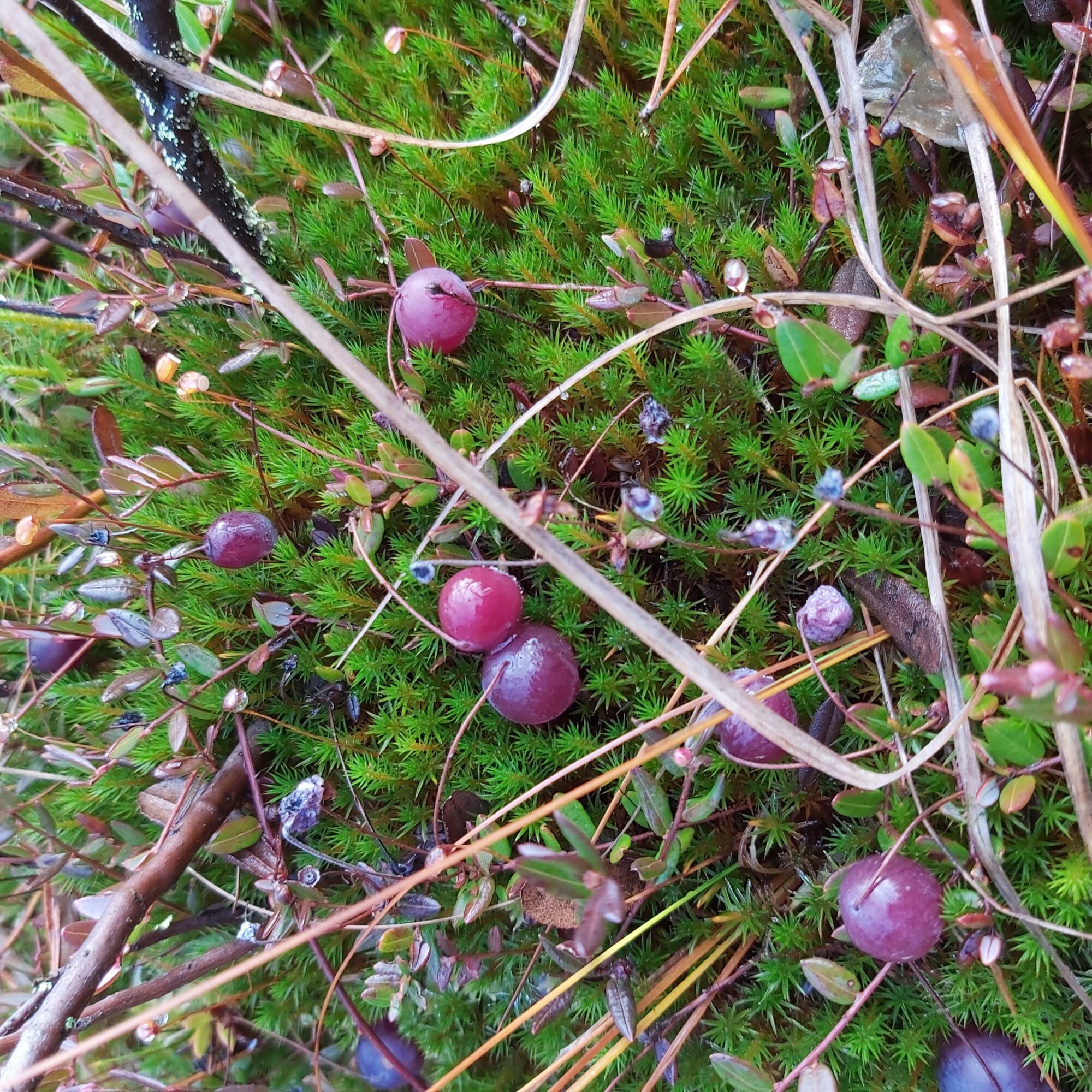 Valokuvaaja: Kaisa Marila