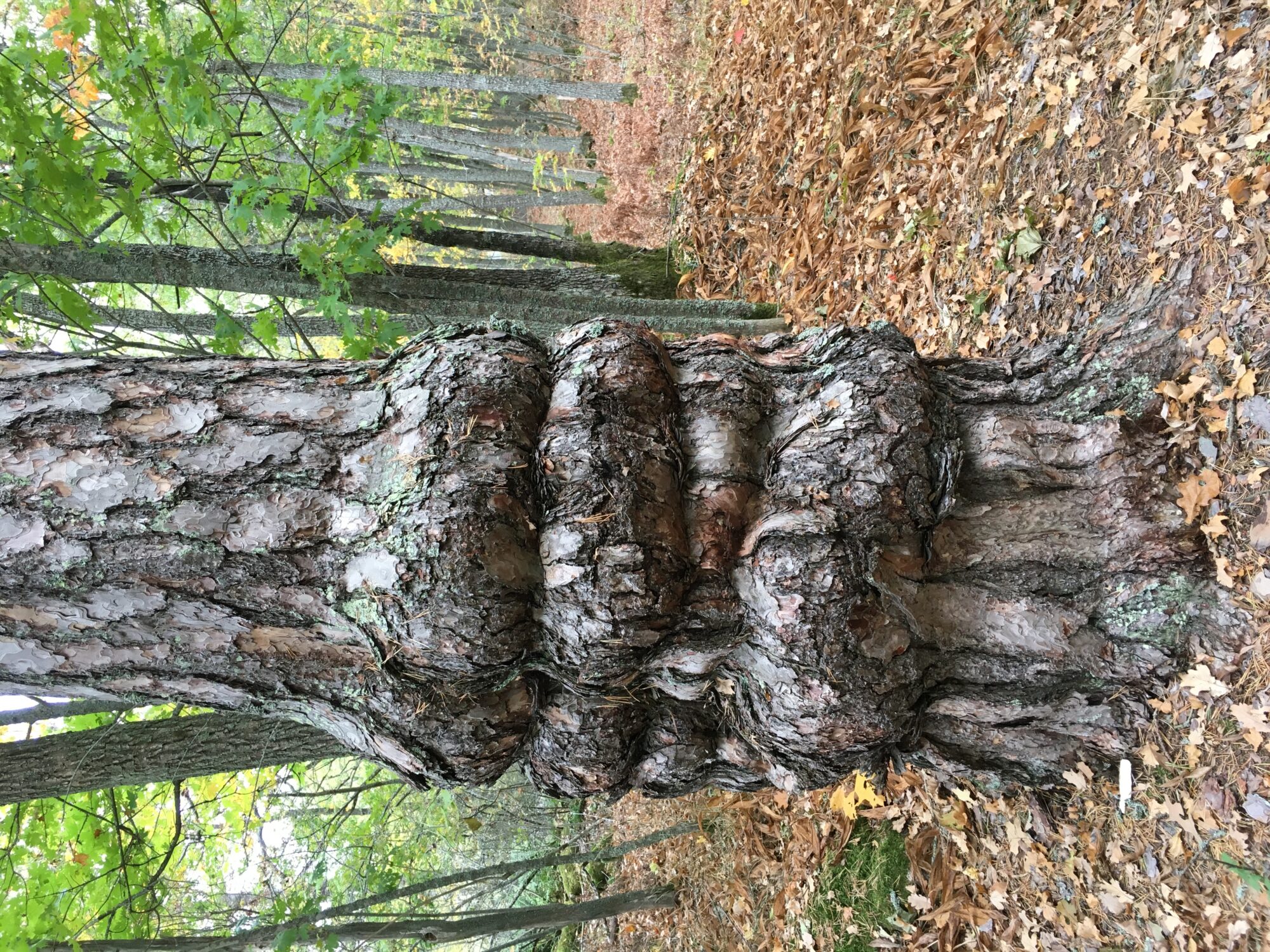 Valokuvaaja: Helena Euren