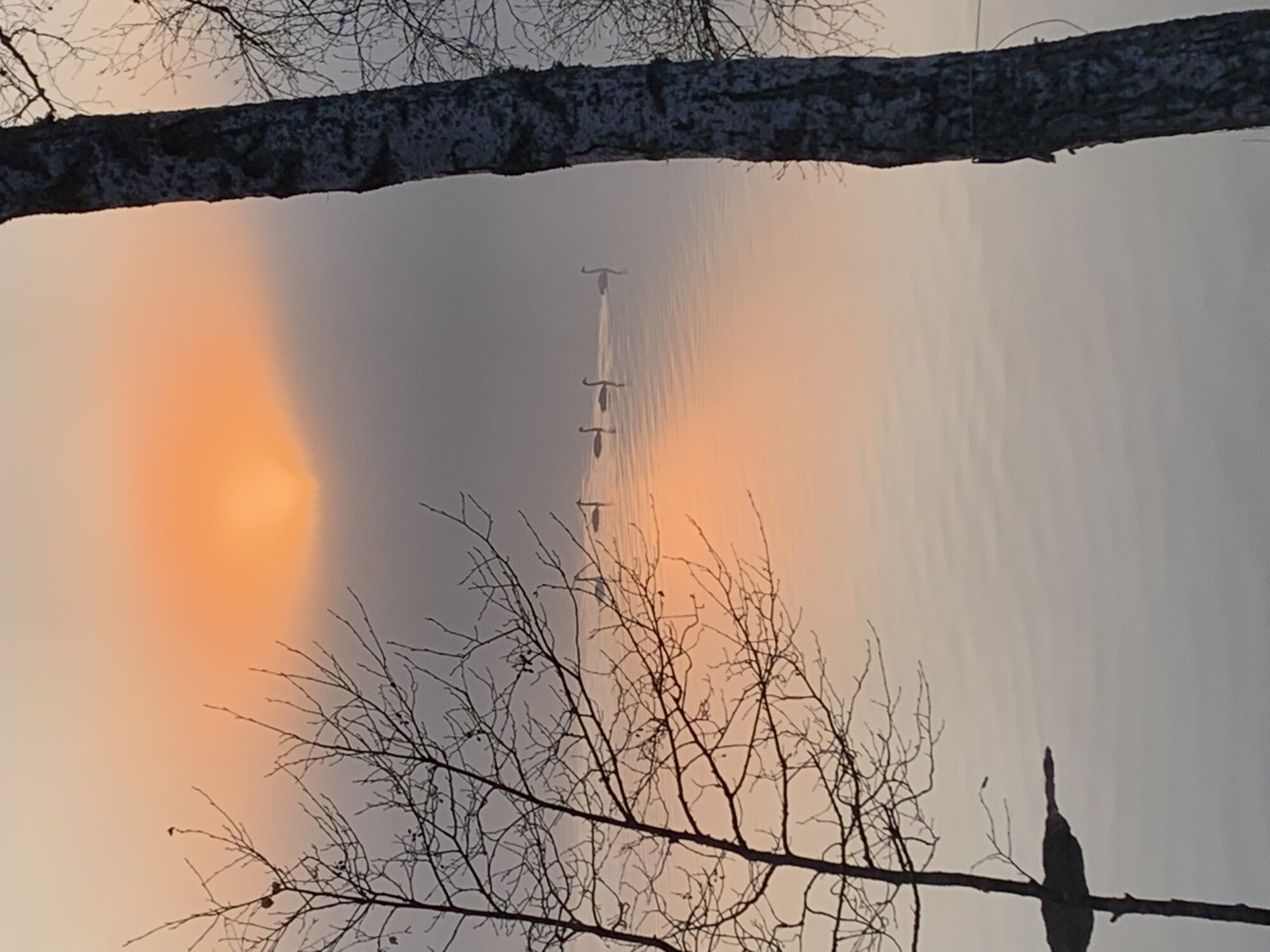 Valokuvaaja: Annikka Palmu