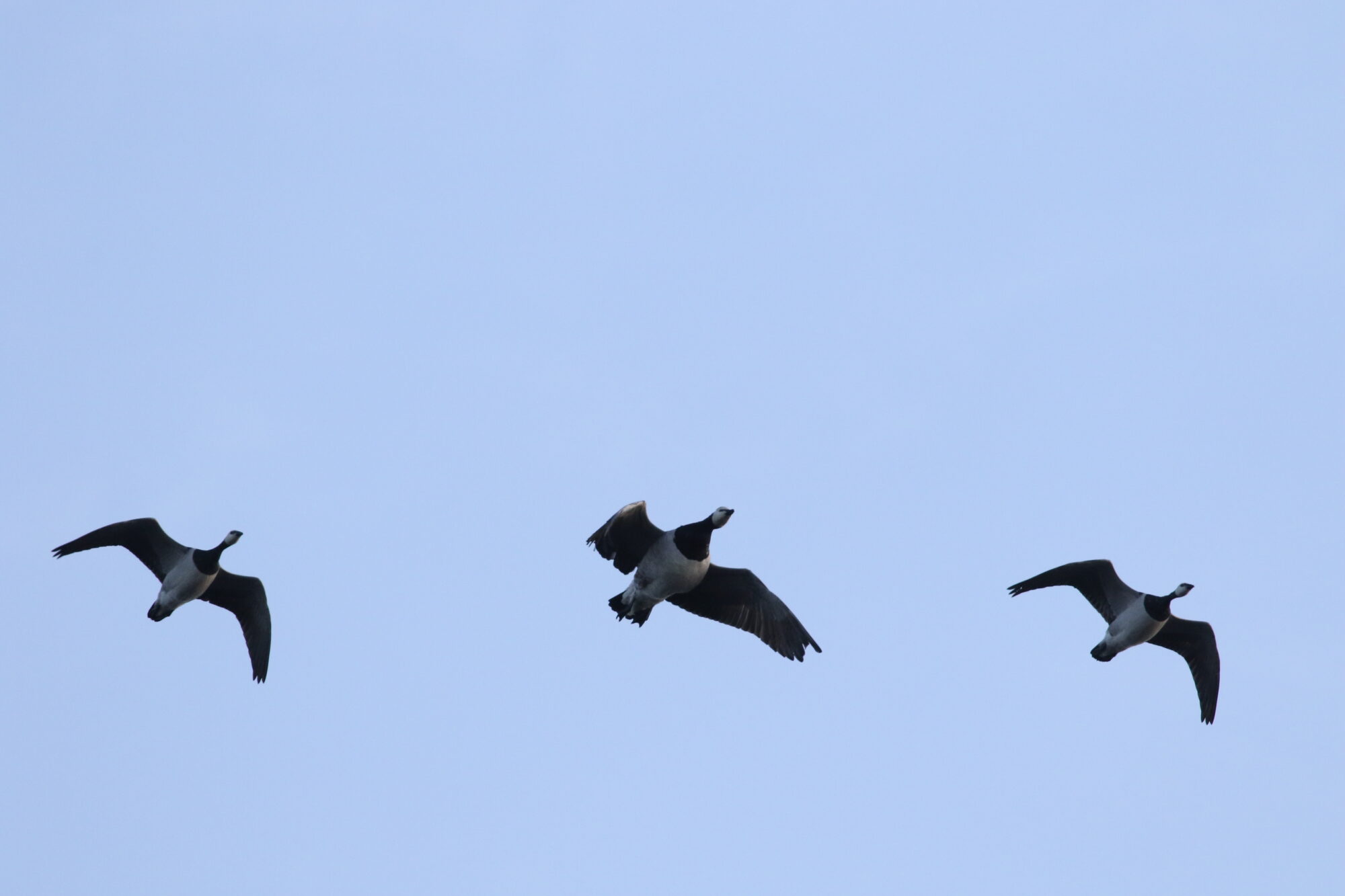 Valokuvaaja: Matti Kauranne