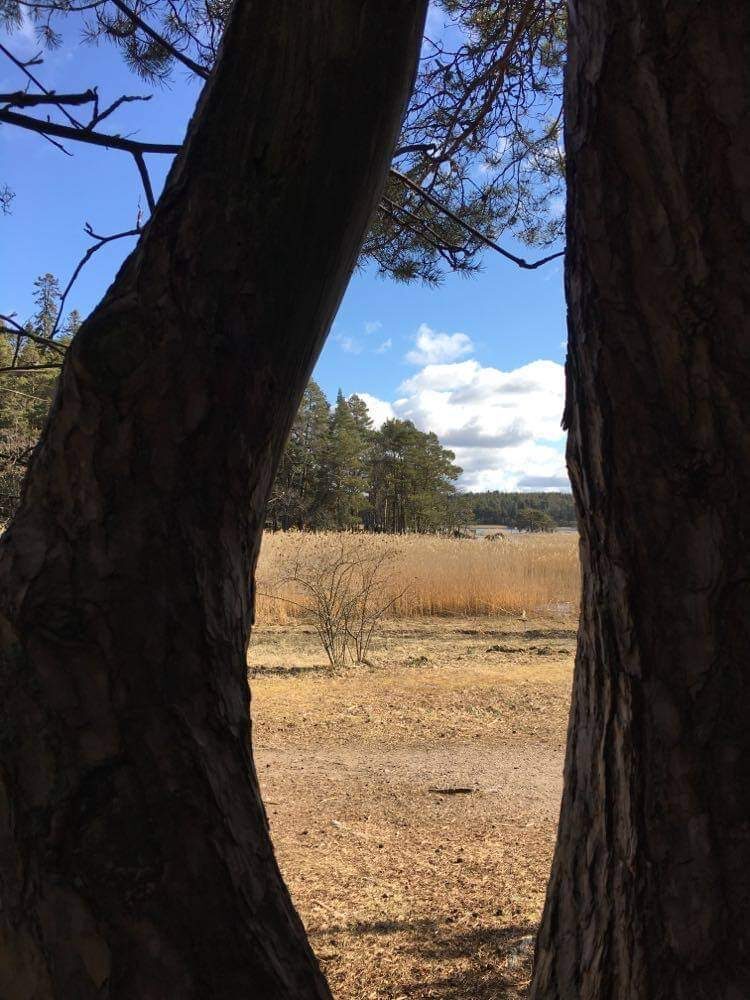 Valokuvaaja: Helena Euren