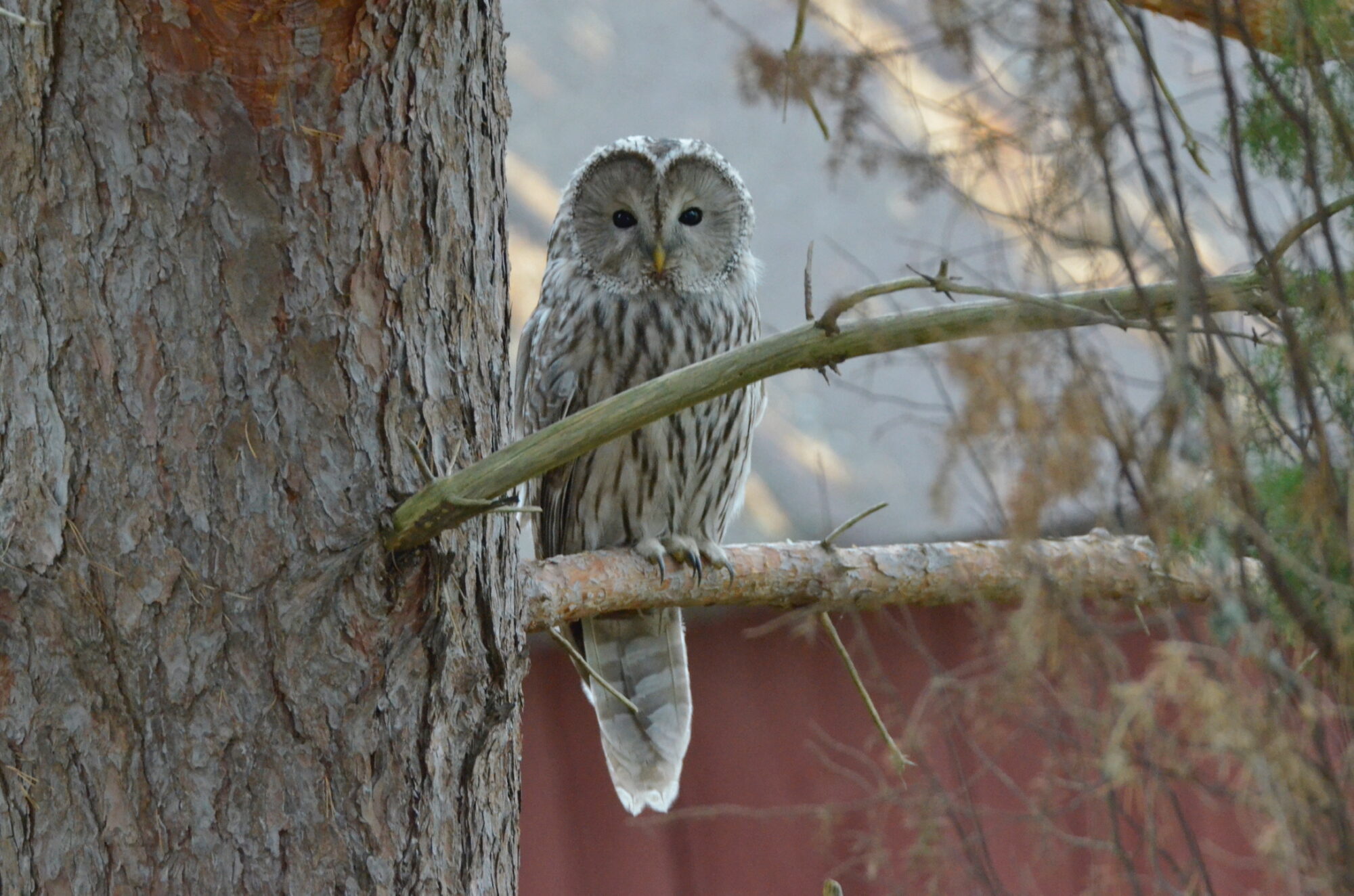 Valokuvaaja: Jouko Etelä