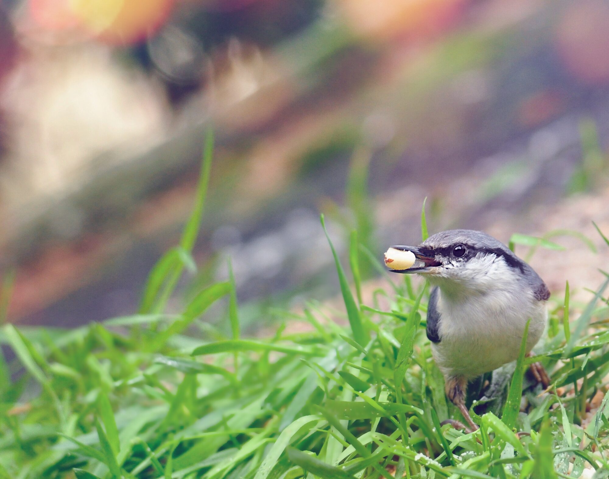 Valokuvaaja: jenni Merilä