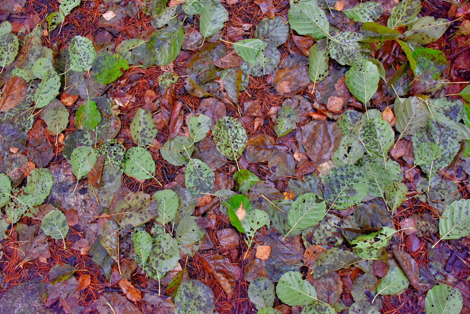 Valokuvaaja: Reijo Juurinen