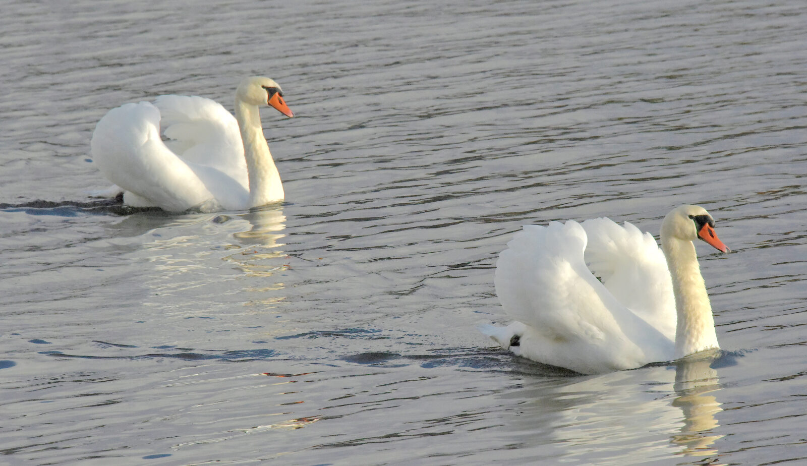 Valokuvaaja: Reijo Juurinen