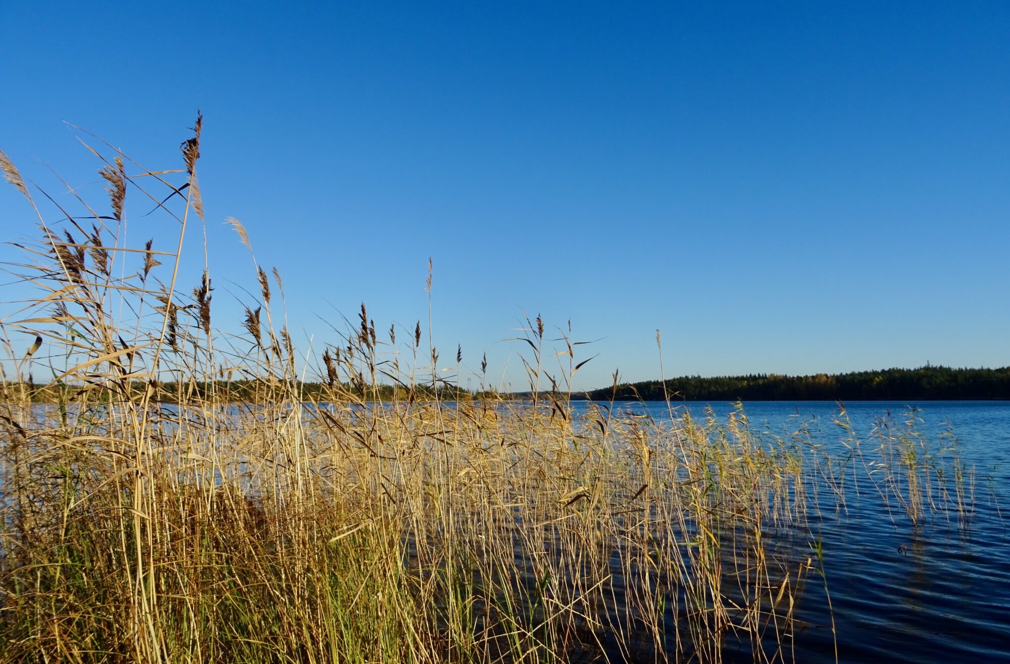 Valokuvaaja: Liisa Niiva-Korpela Valokuvaaja: Liisa Niiva-Korpela