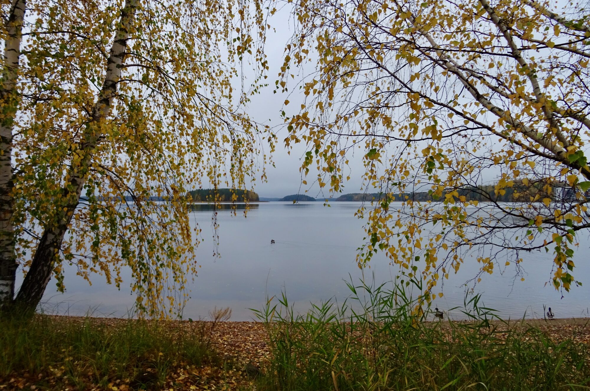 Valokuvaaja: Liisa Niiva-Korpela