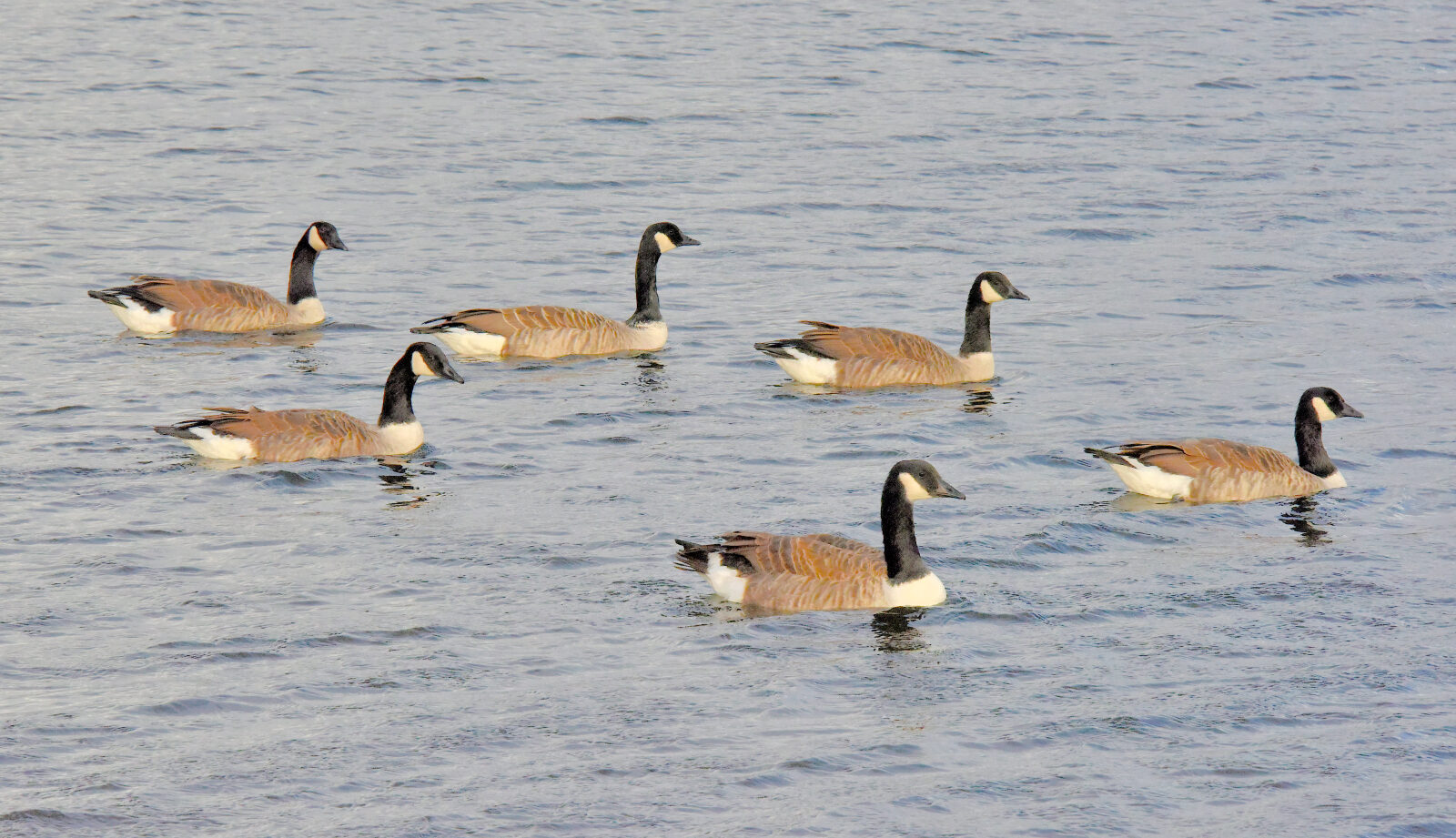 Valokuvaaja: Reijo Juurinen