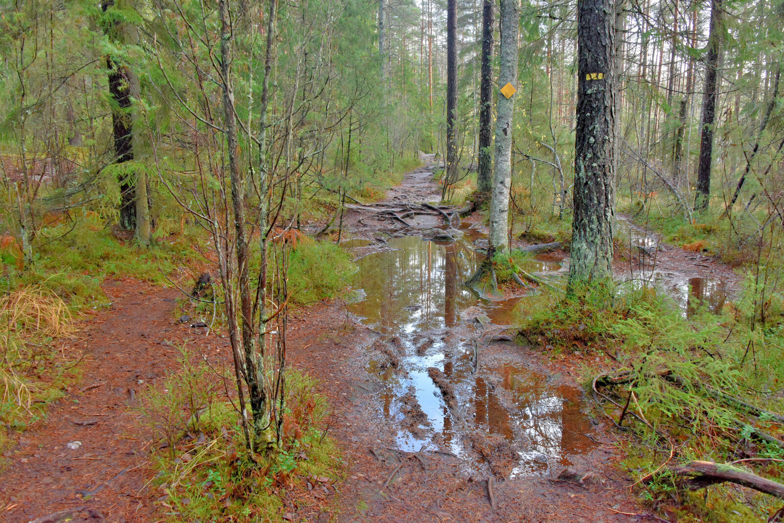 Valokuvaaja: Reijo Juurinen
