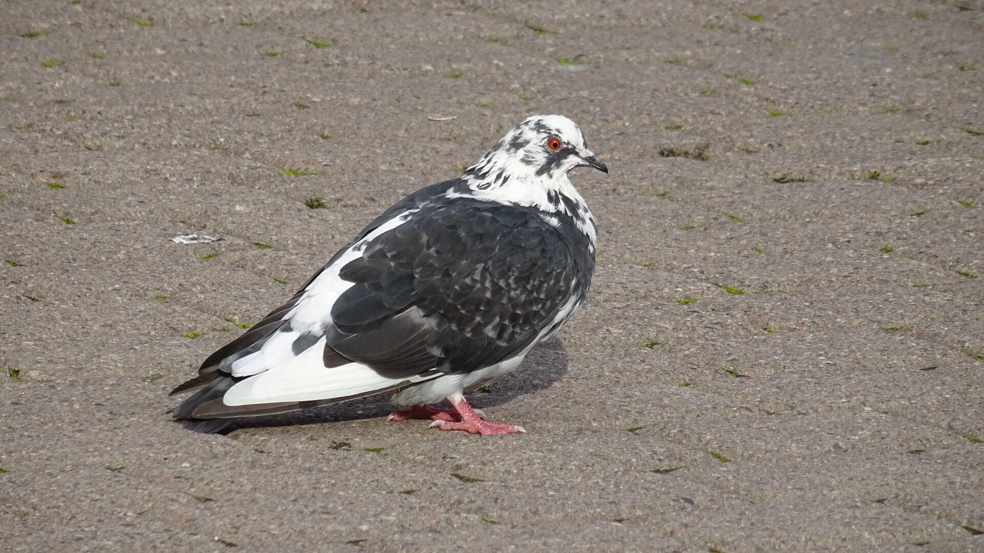 Valokuvaaja: Katja Ketola