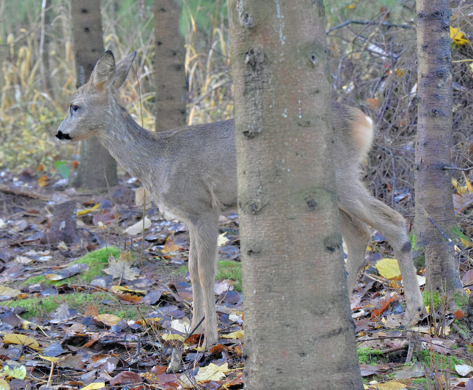 Valokuvaaja: Reijo Juurinen