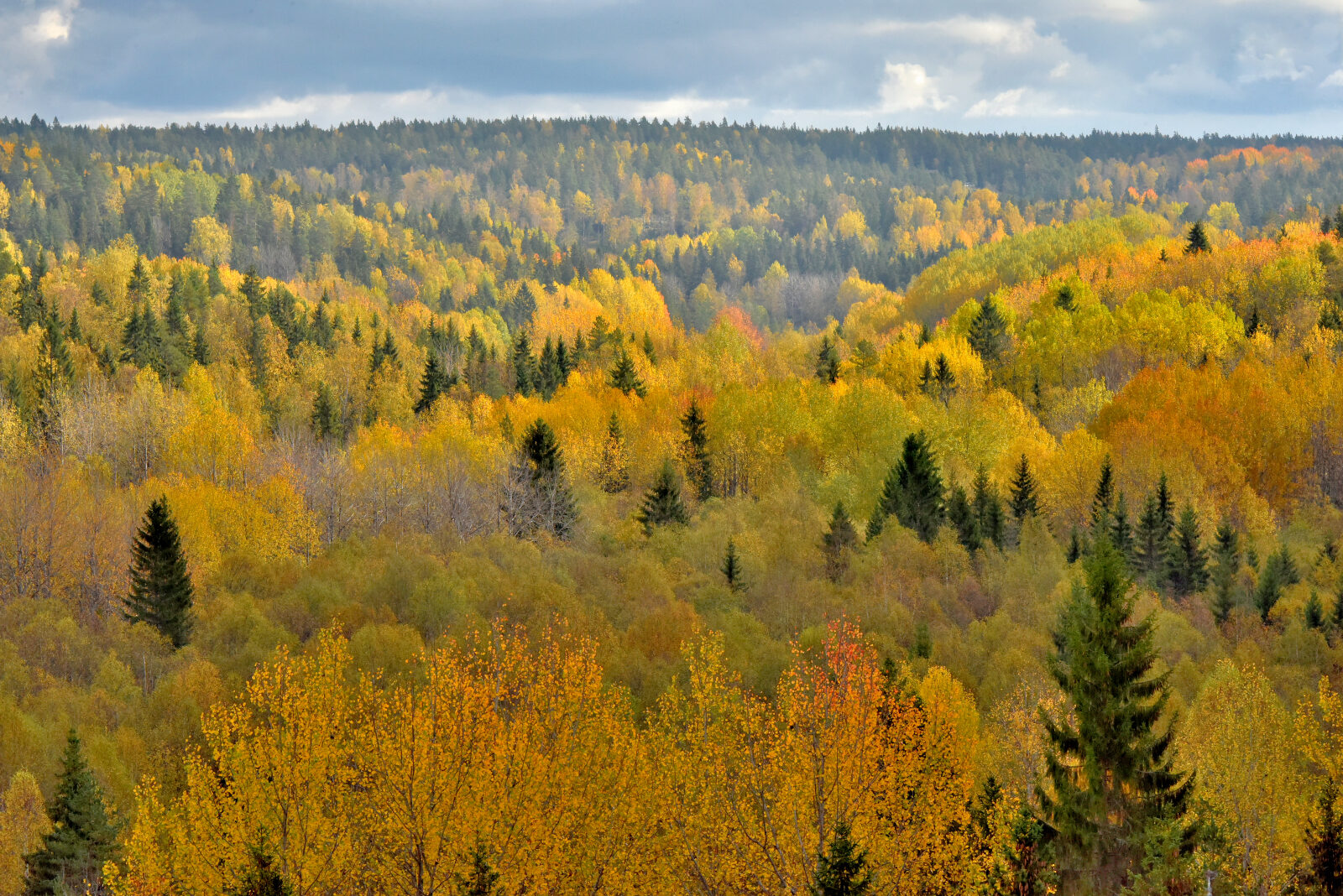 Valokuvaaja: Reijo Juurinen
