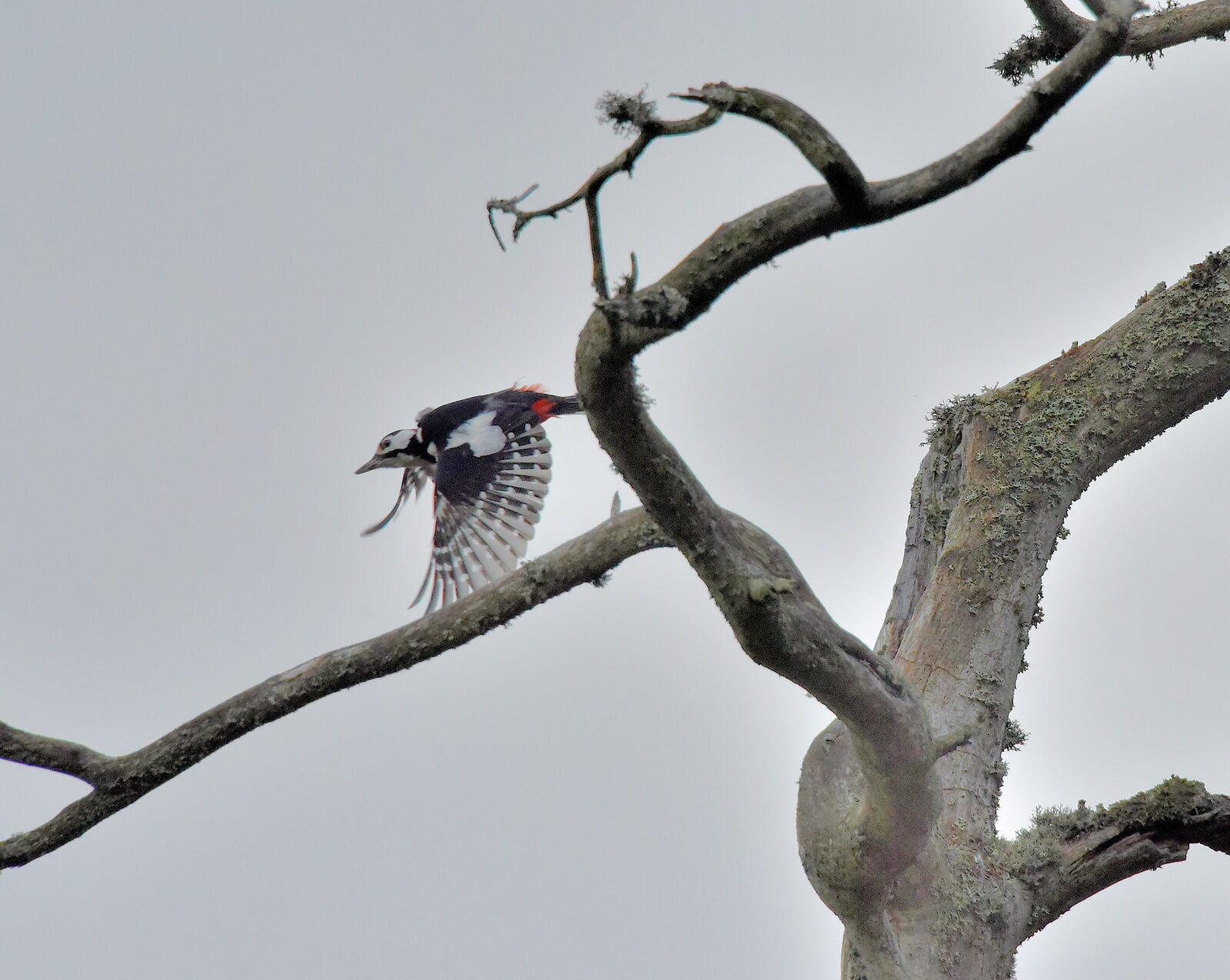 Valokuvaaja: Reijo Juurinen