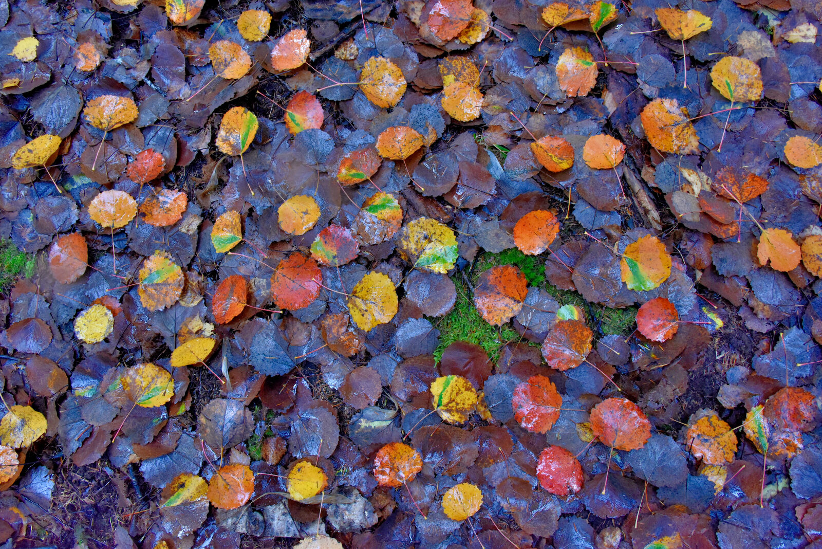 Valokuvaaja: Reijo Juurinen