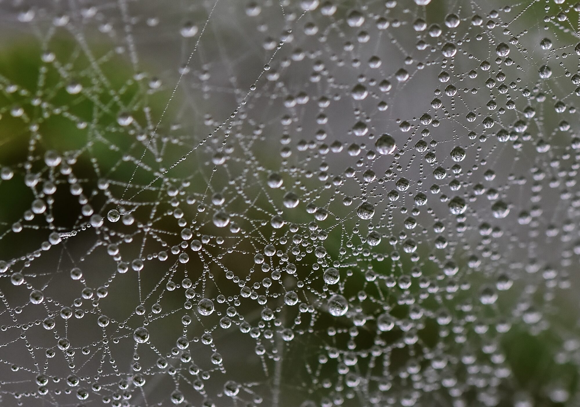 Valokuvaaja: Markku Pelkonen