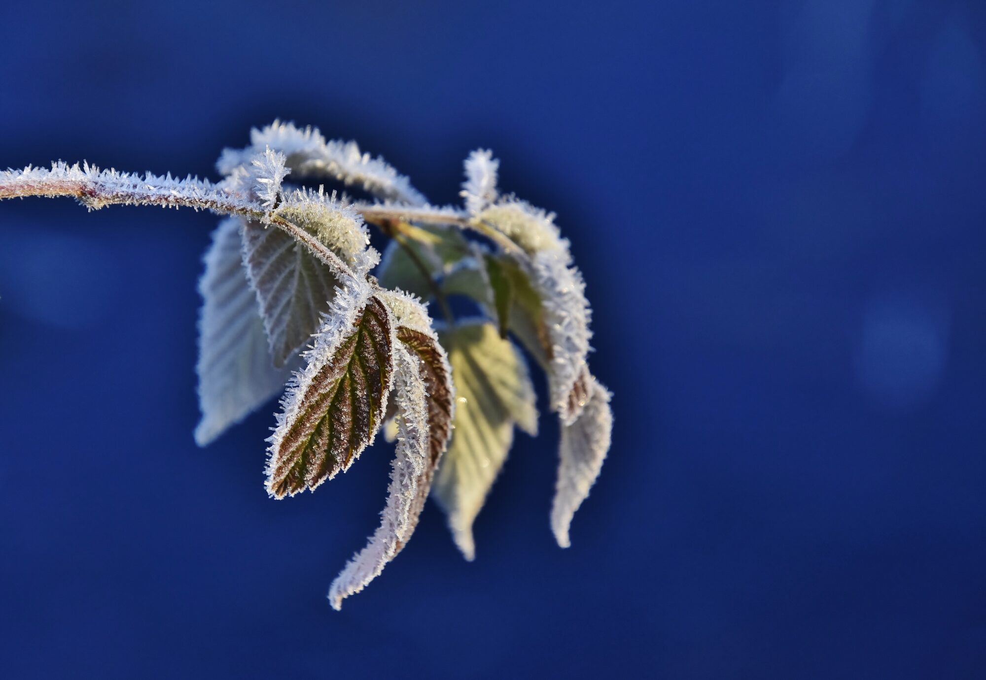 Valokuvaaja: Markku Pelkonen
