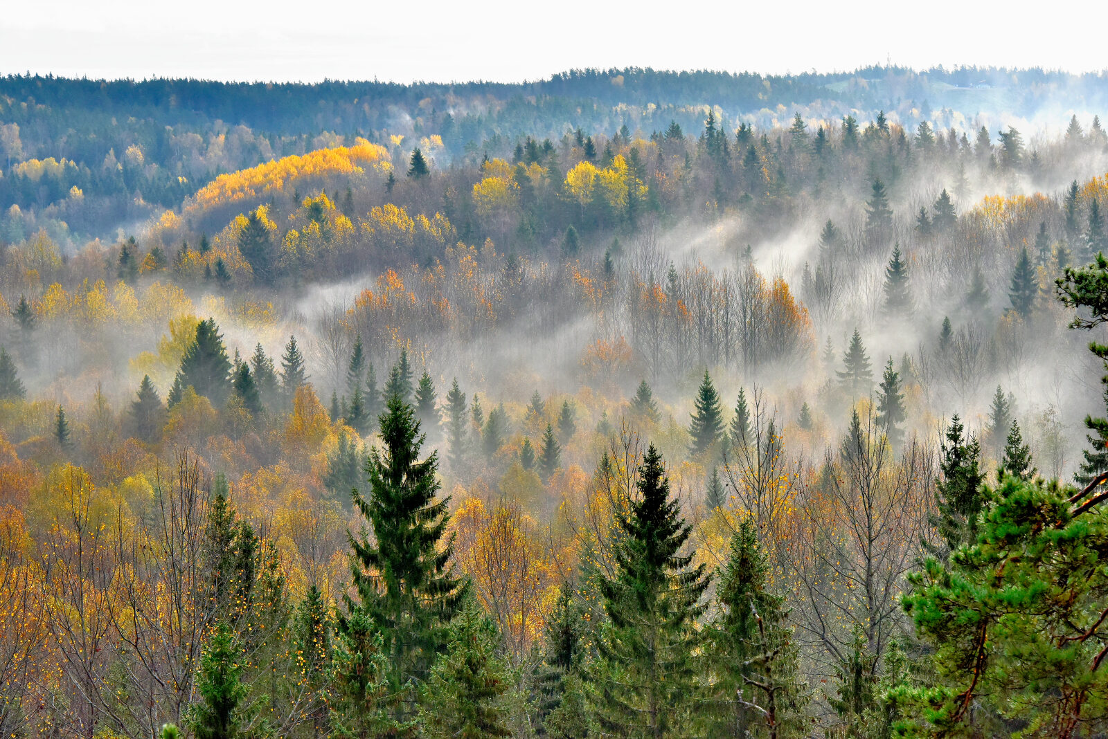 Valokuvaaja: Reijo Juurinen