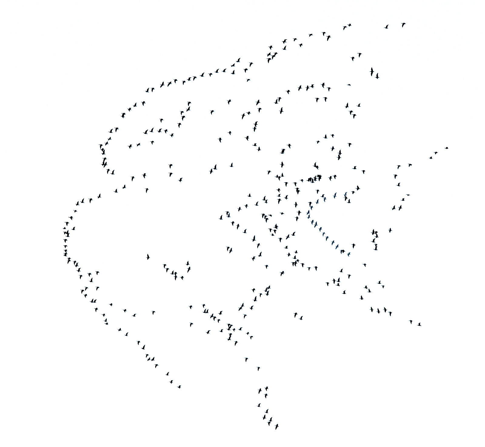 Valokuvaaja: Reijo Juurinen