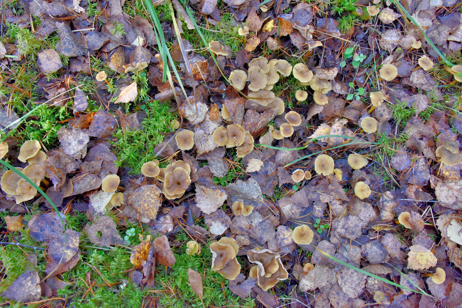 Valokuvaaja: Reijo Juurinen