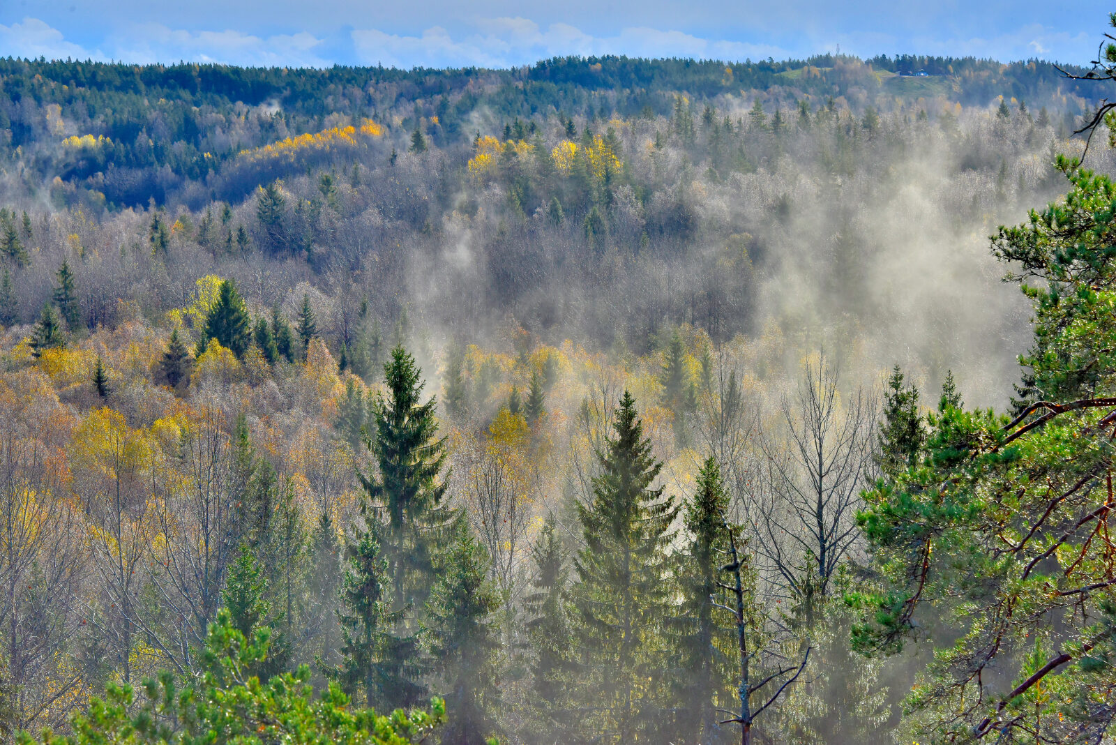 Valokuvaaja: Reijo Juurinen