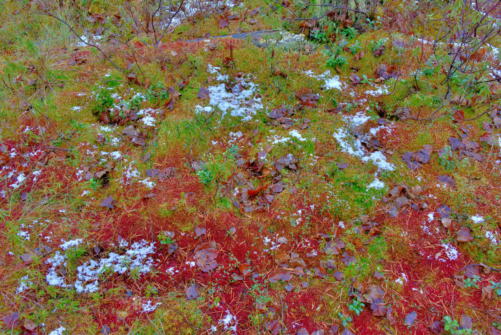 Valokuvaaja: Reijo Juurinen