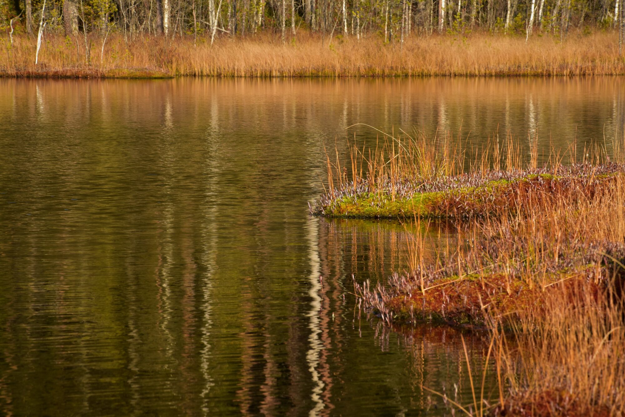 Valokuvaaja: Lahja Toivanen Valokuvaaja: Lahja Toivanen