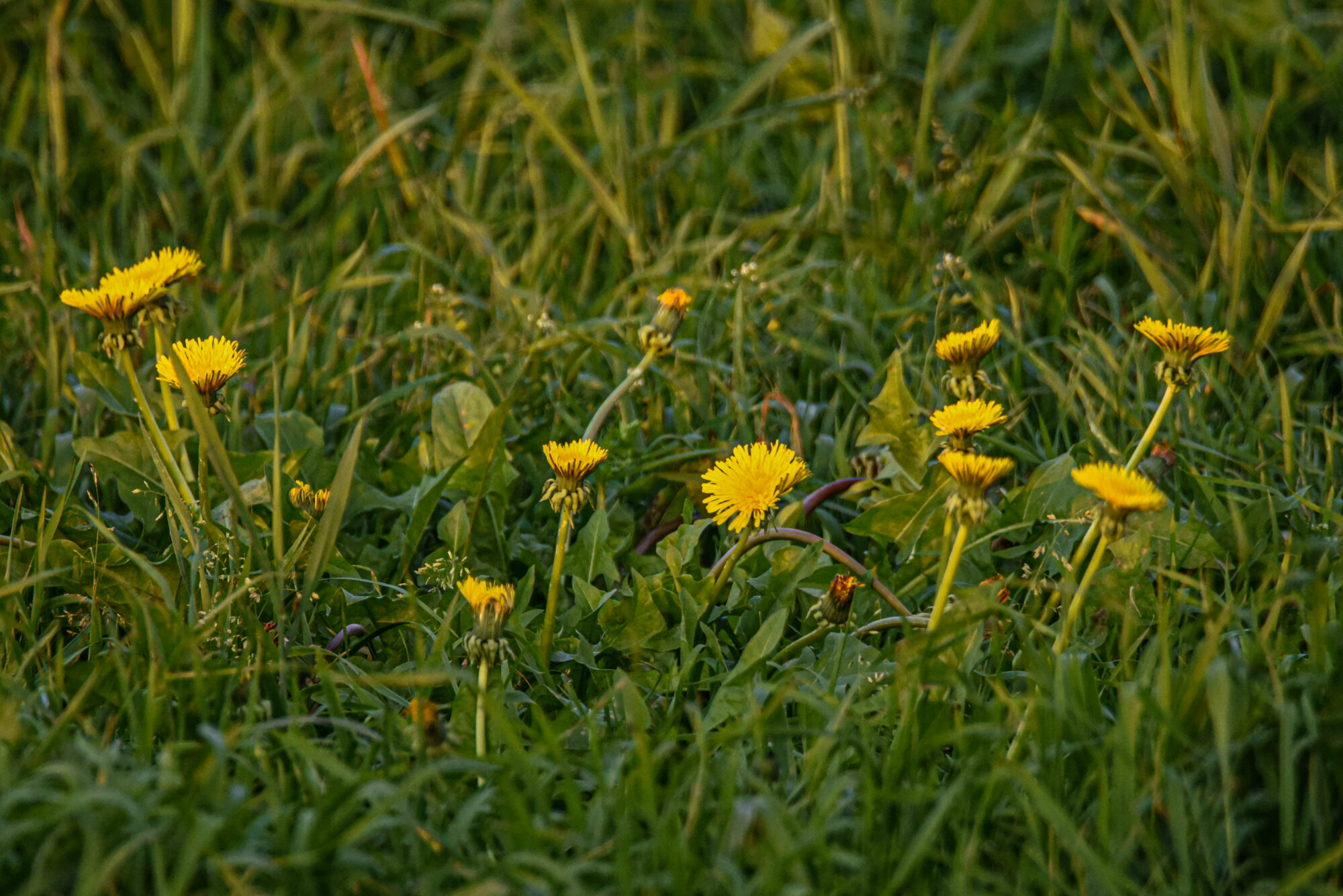 Valokuvaaja: Maija Savolainen