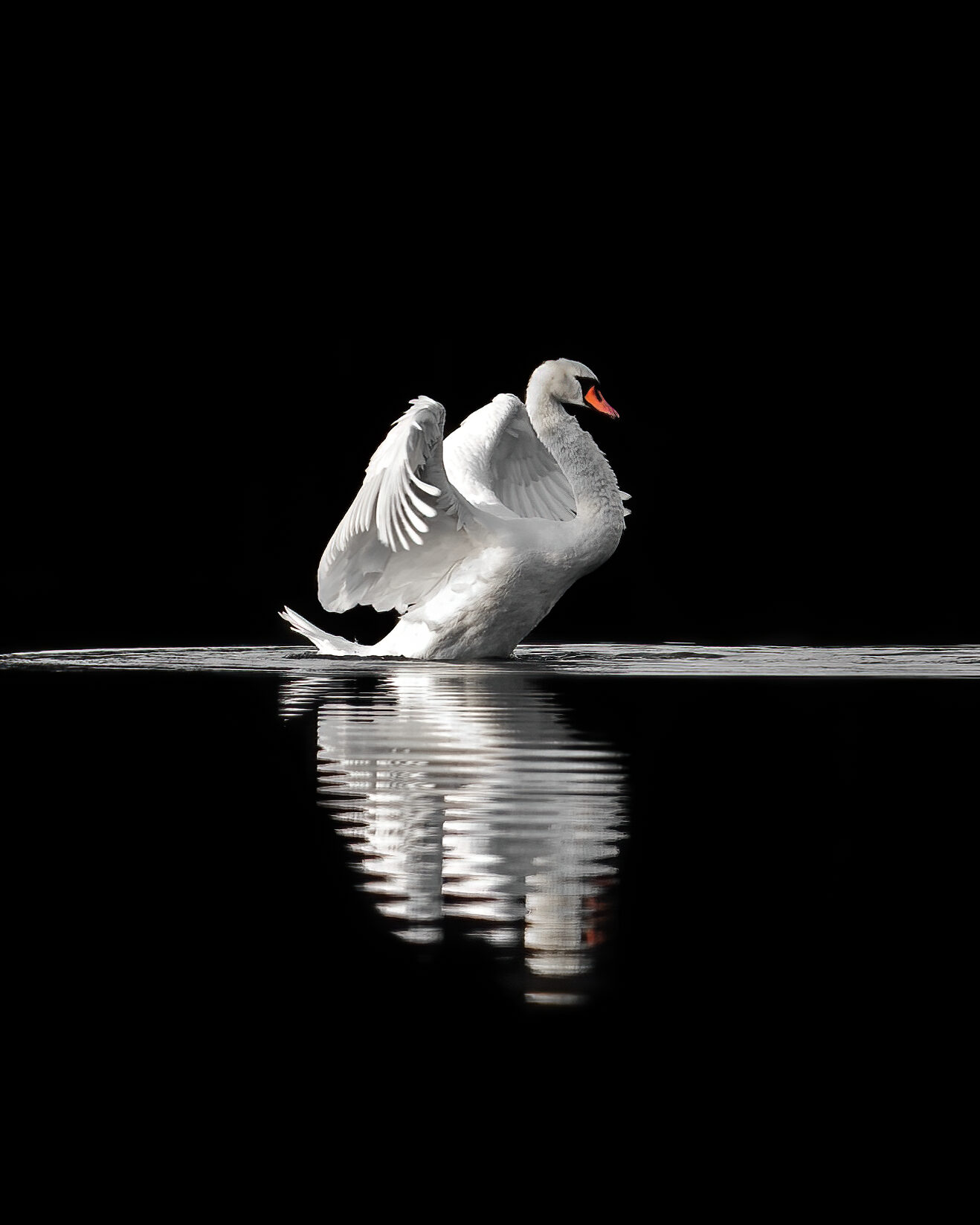 Valokuvaaja: Joni Ilmanen