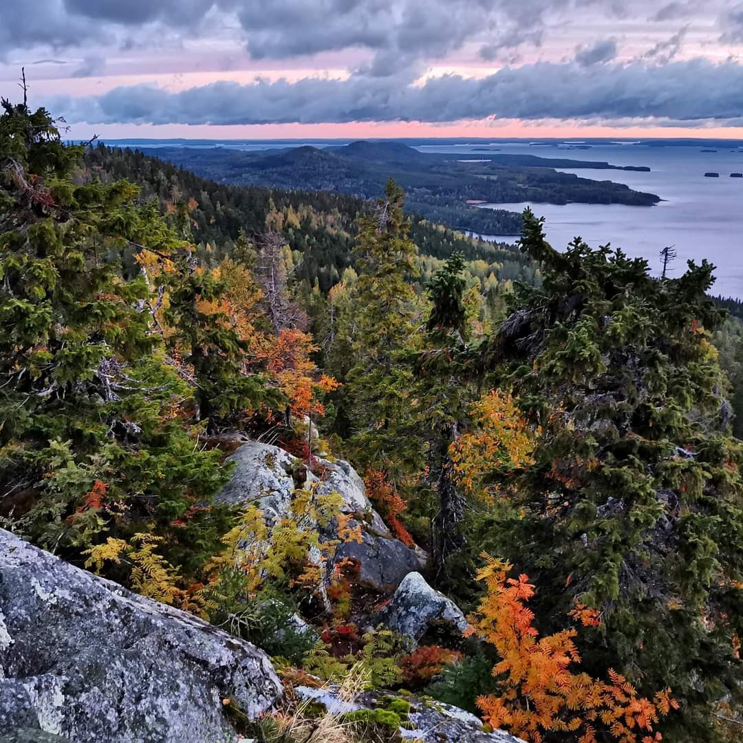 Valokuvaaja: Tapio Keinonen