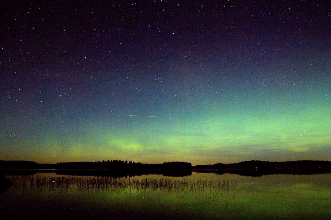 Valokuvaaja: Tapio Keinonen
