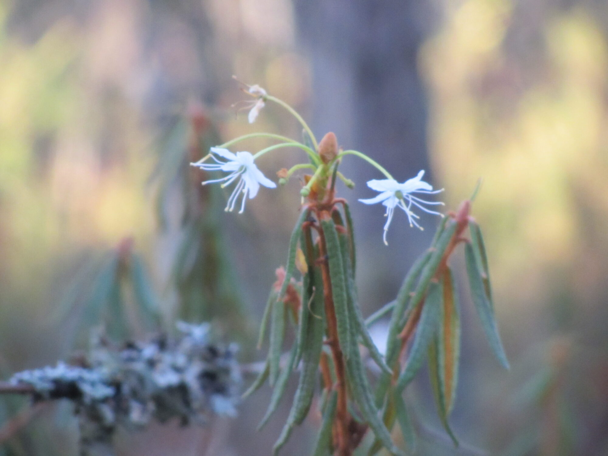 Valokuvaaja: Risto Kangassalo