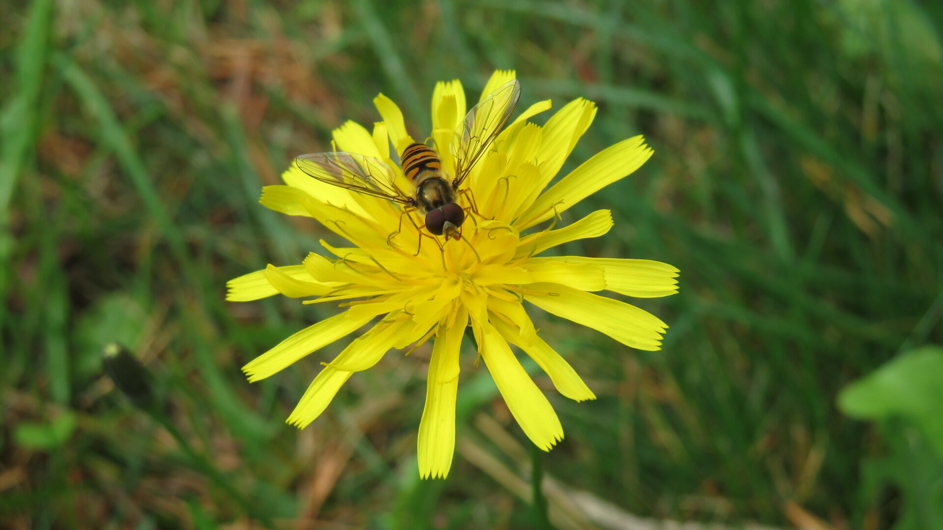 Valokuvaaja: Risto Kangassalo
